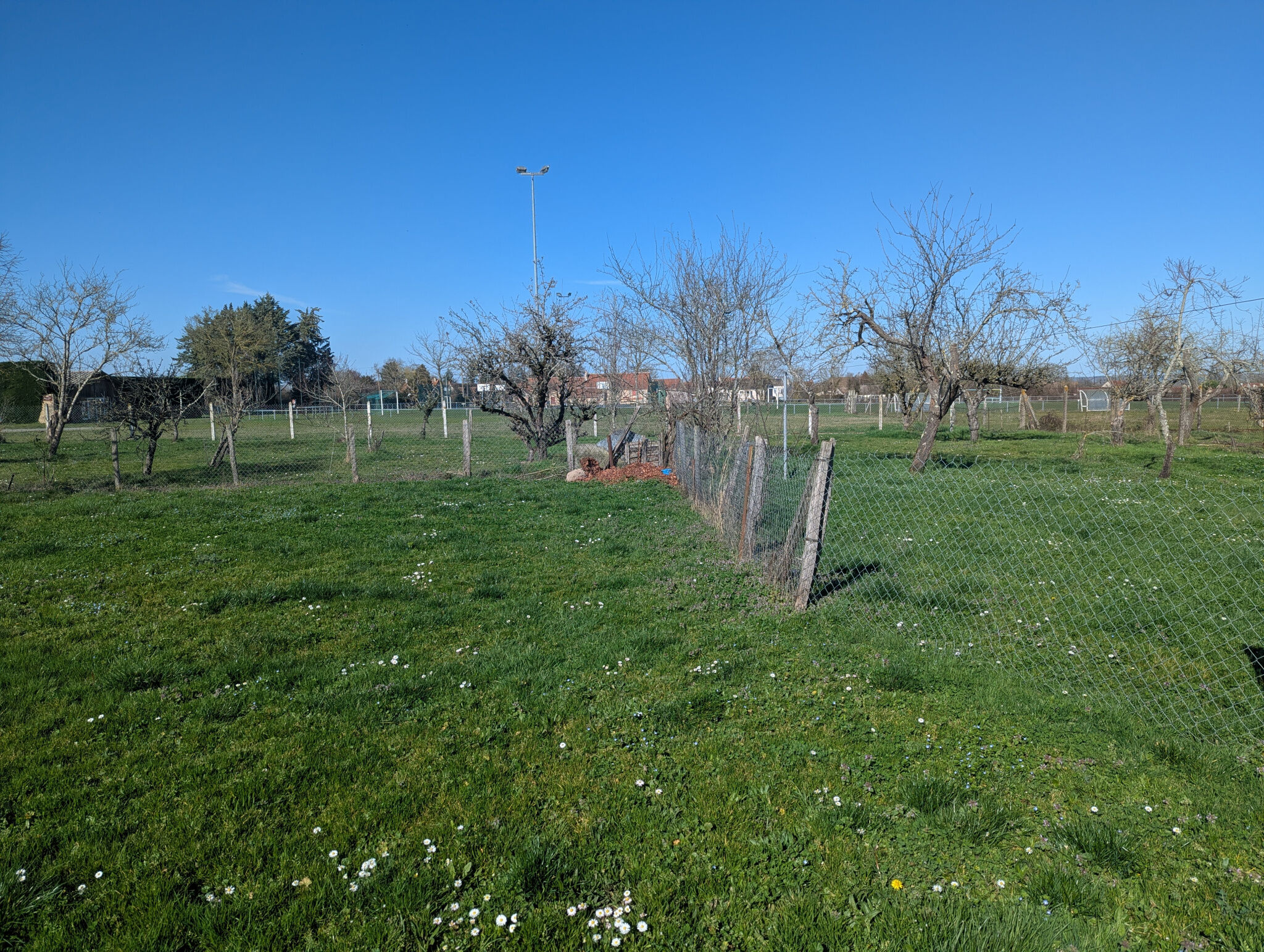 Photo 18 — HORIZON SUD BERRY IMMOBILIER - Châtre
