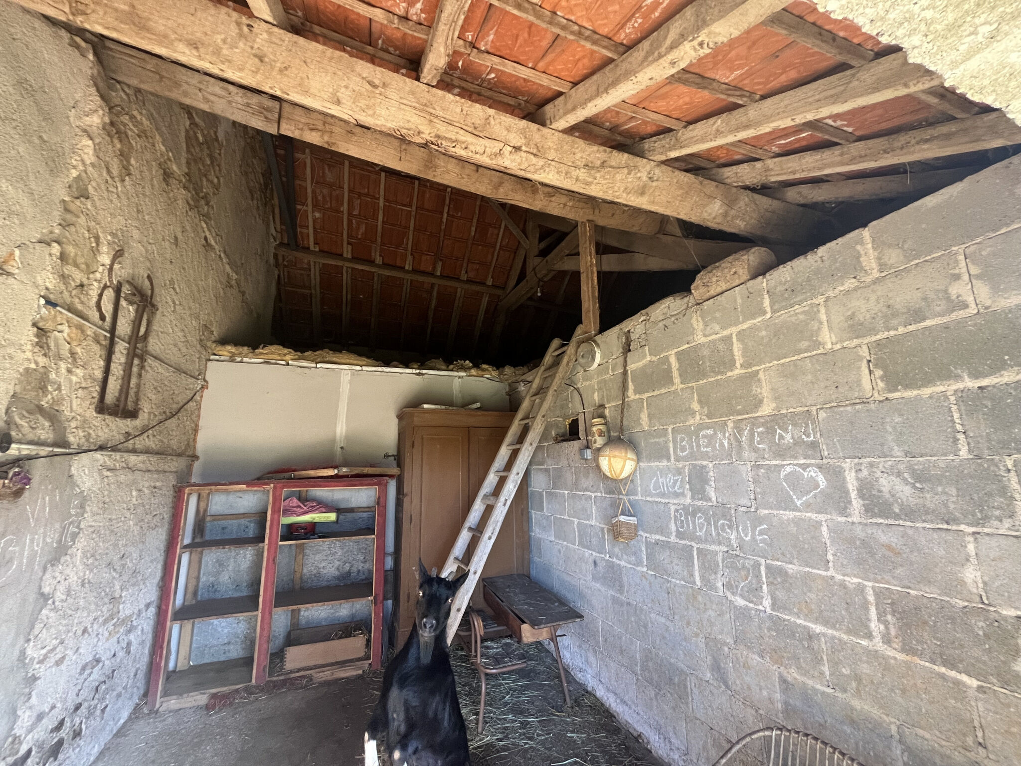 Photo 13 — HORIZON SUD BERRY IMMOBILIER - Châtre