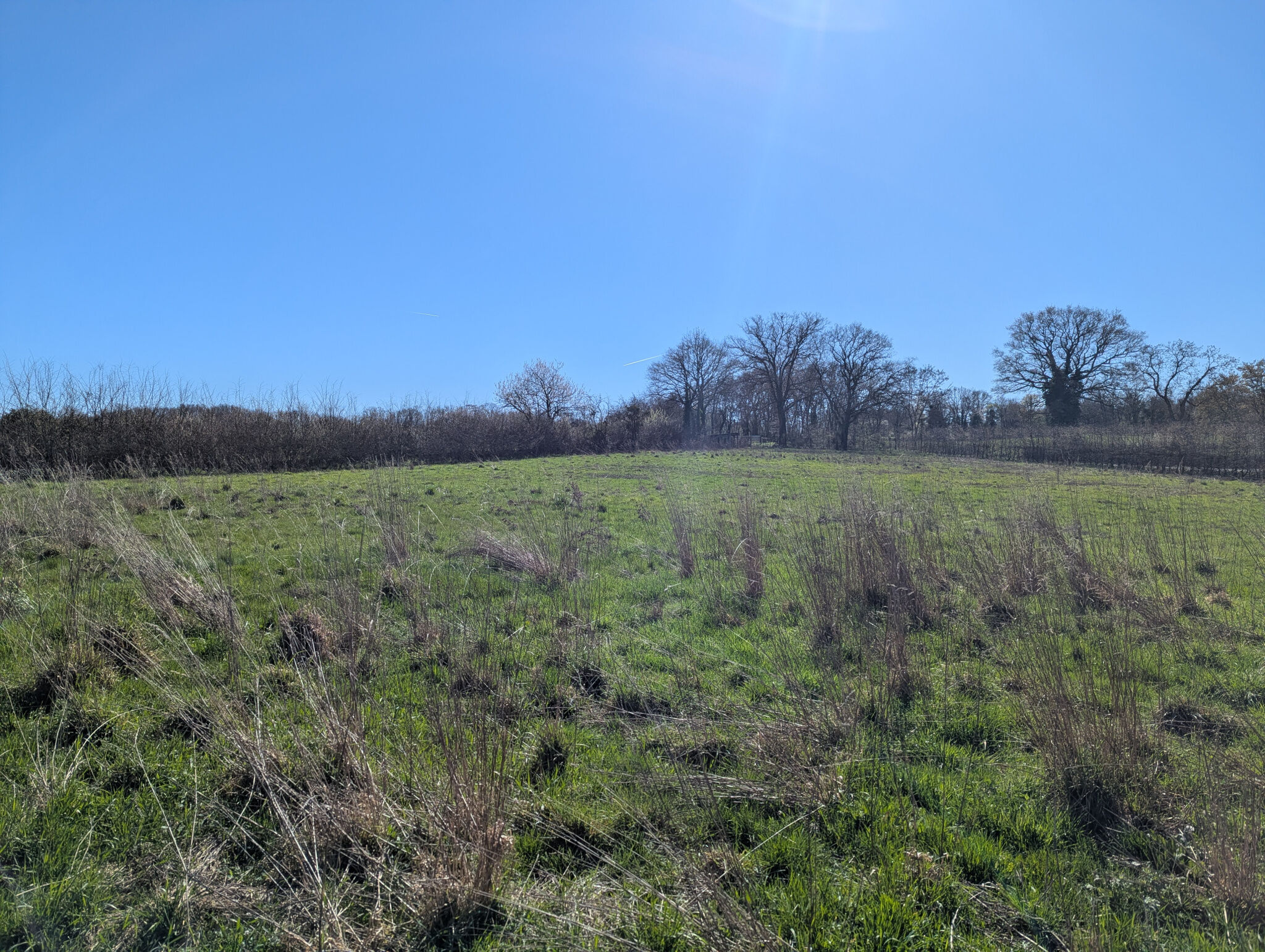 Photo 19 — HORIZON SUD BERRY IMMOBILIER - Châtre