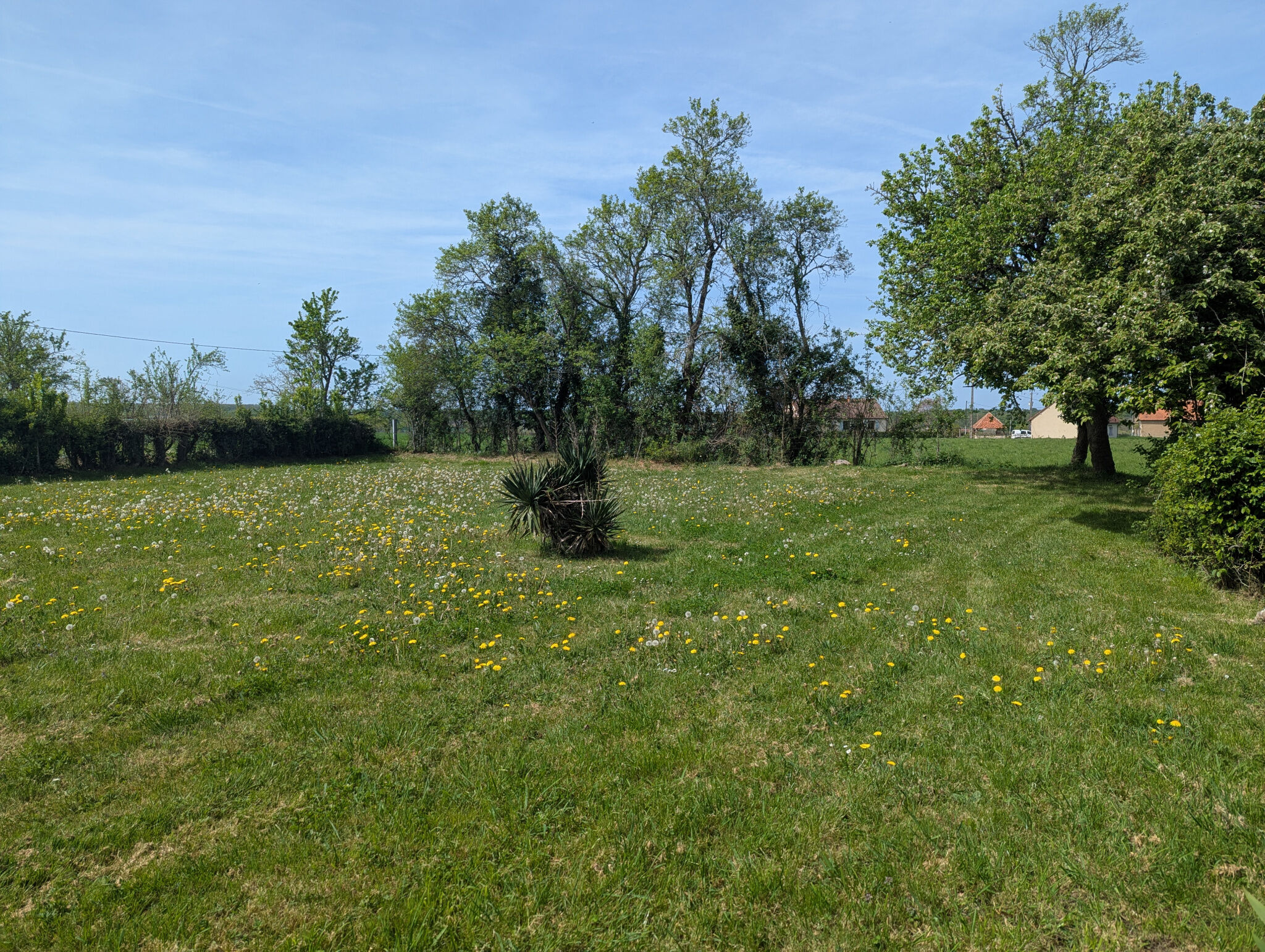 Photo 19 — HORIZON SUD BERRY IMMOBILIER - Châtre