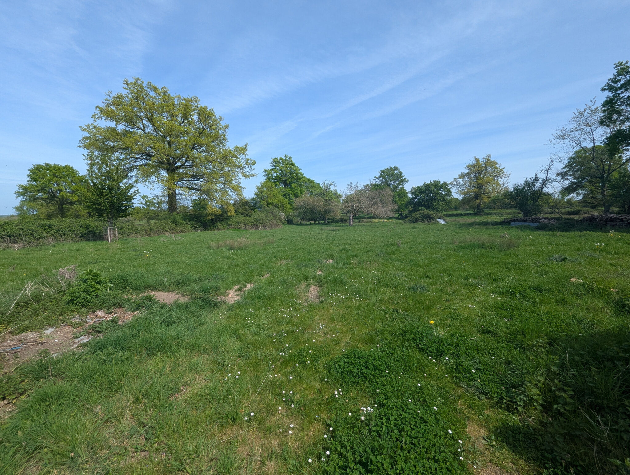 Photo 16 — HORIZON SUD BERRY IMMOBILIER - Châtre