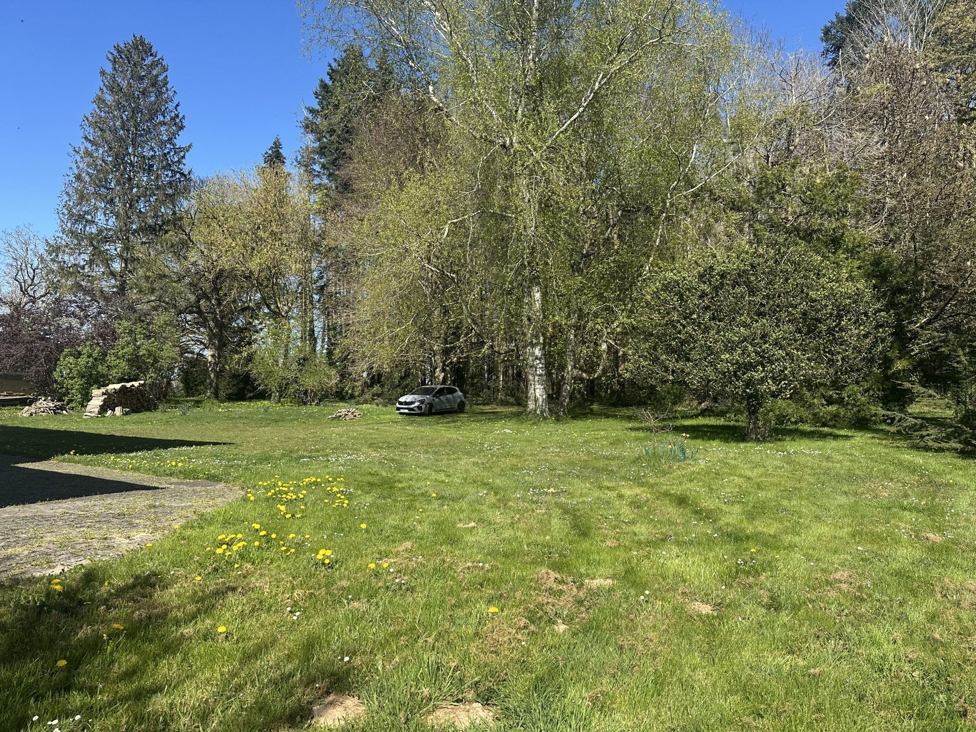 Photo 4 — HORIZON SUD BERRY IMMOBILIER - Châtre