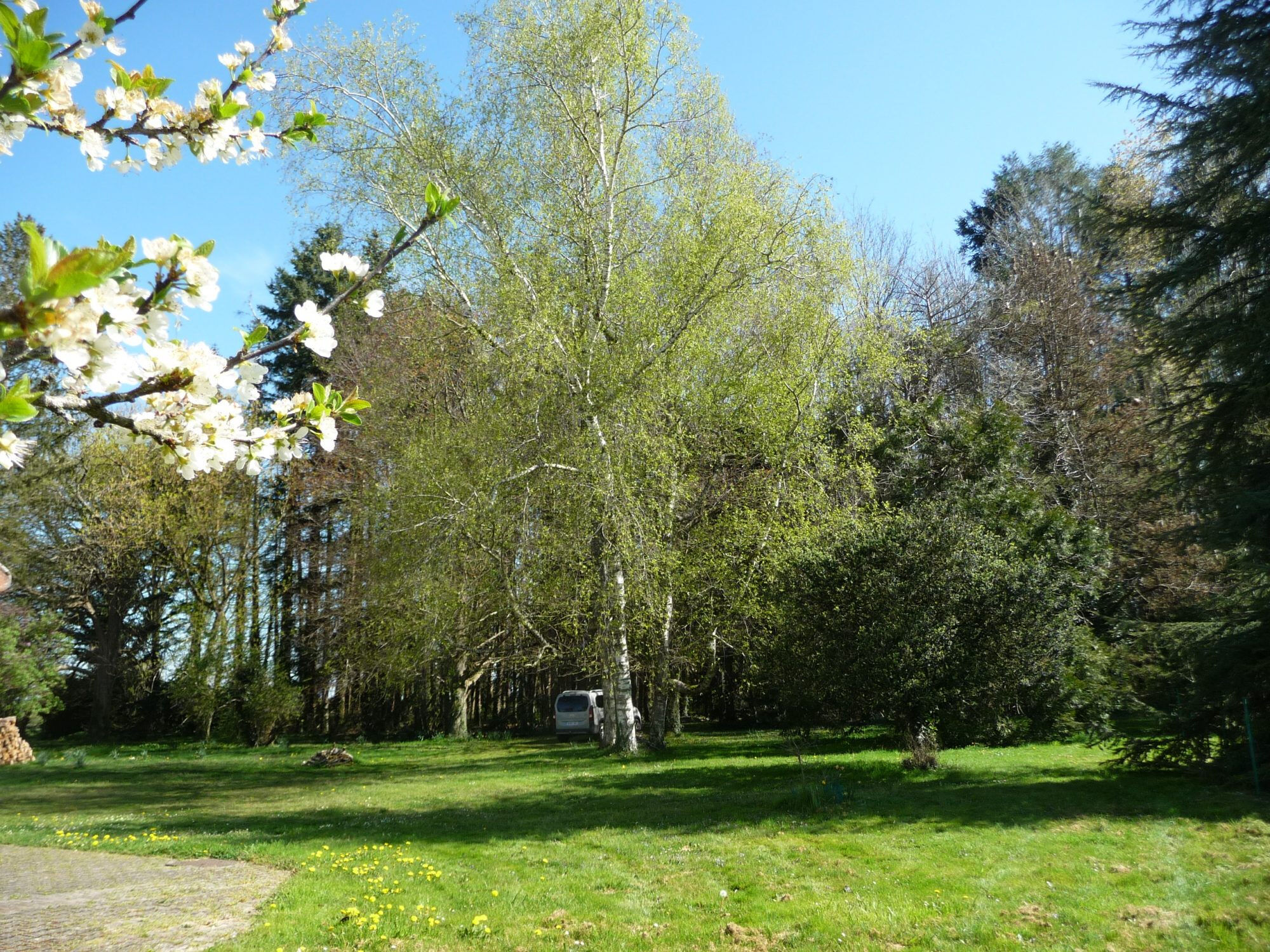 Photo 3 — HORIZON SUD BERRY IMMOBILIER - Châtre