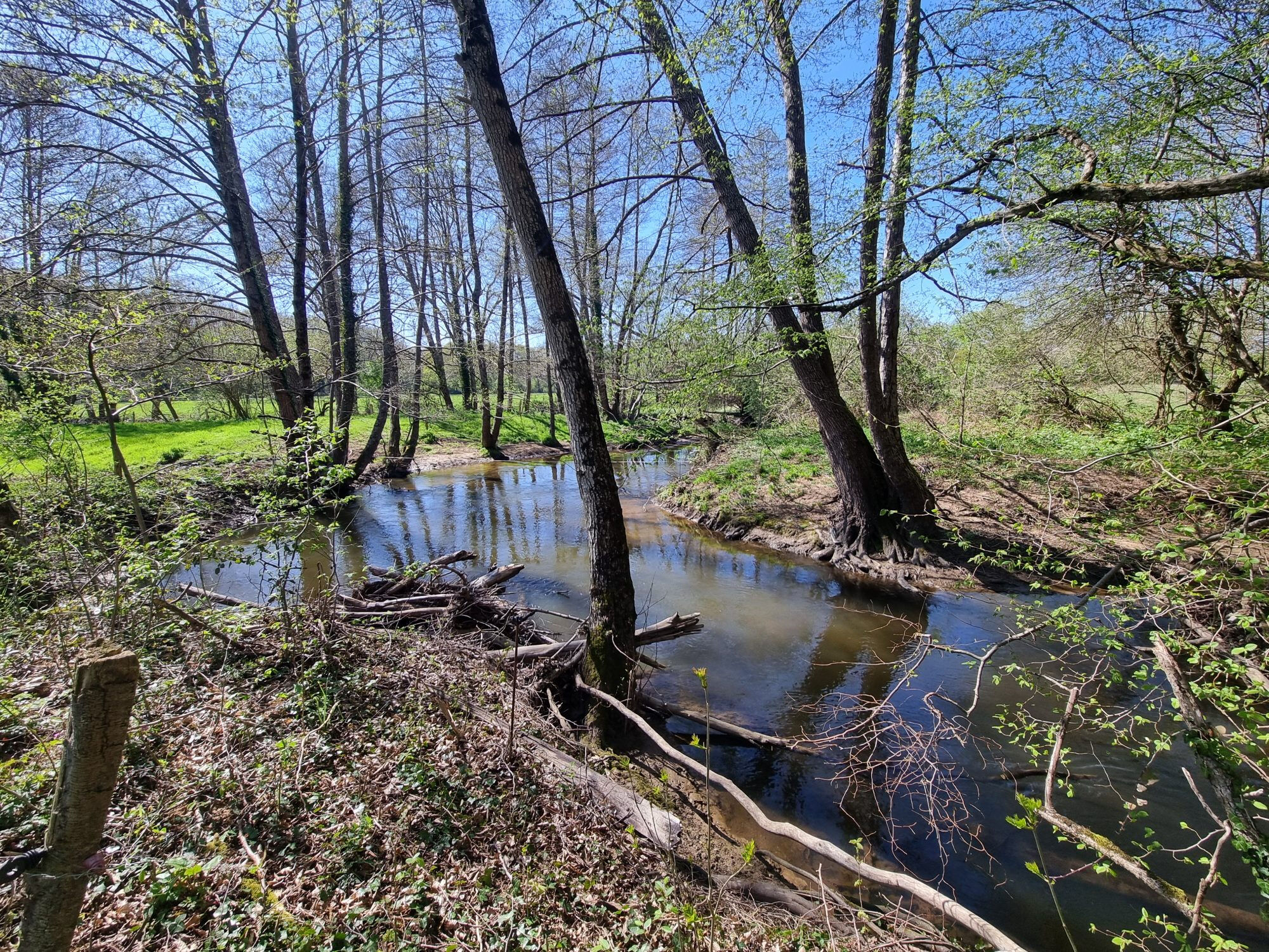 Photo 4 — HORIZON SUD BERRY IMMOBILIER - Châtre