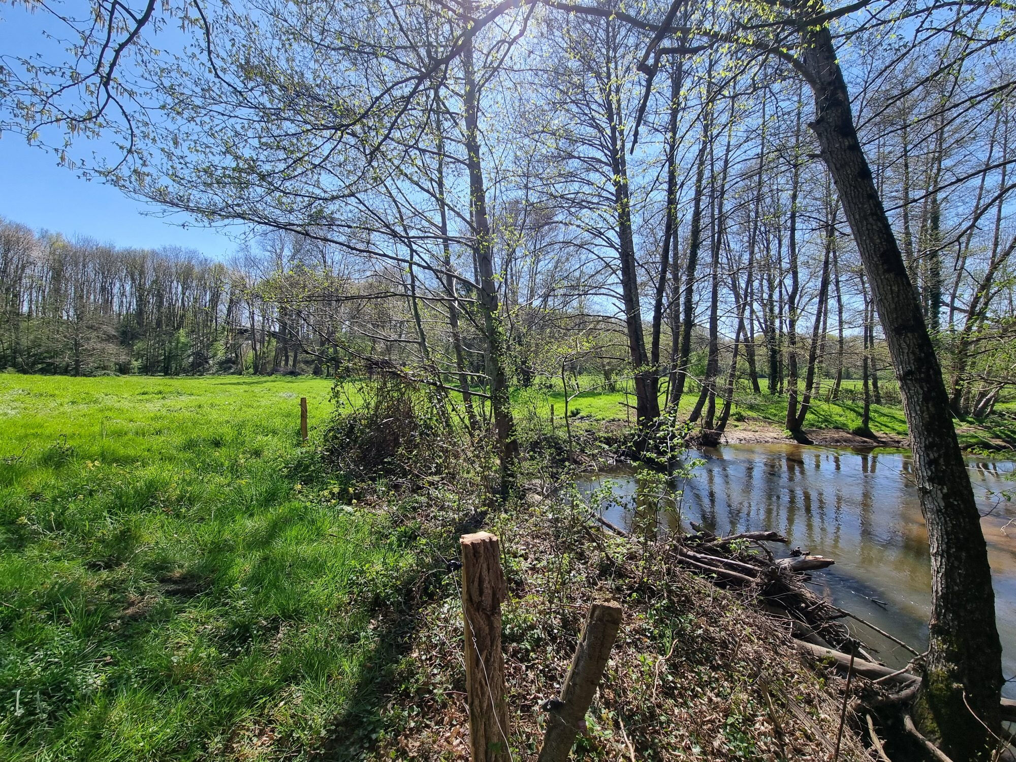 Photo 19 — HORIZON SUD BERRY IMMOBILIER - Châtre