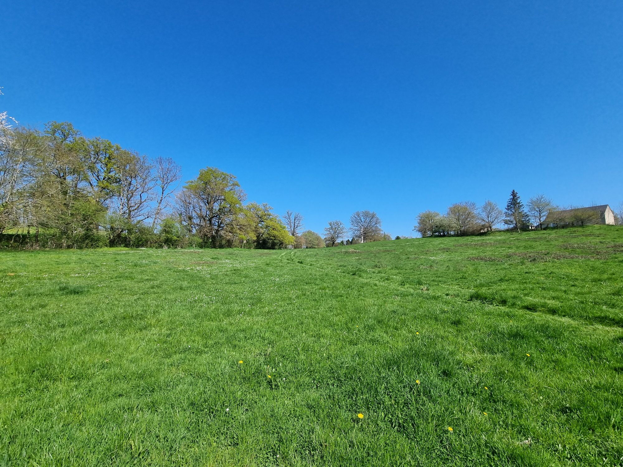 Photo 20 — HORIZON SUD BERRY IMMOBILIER - Châtre