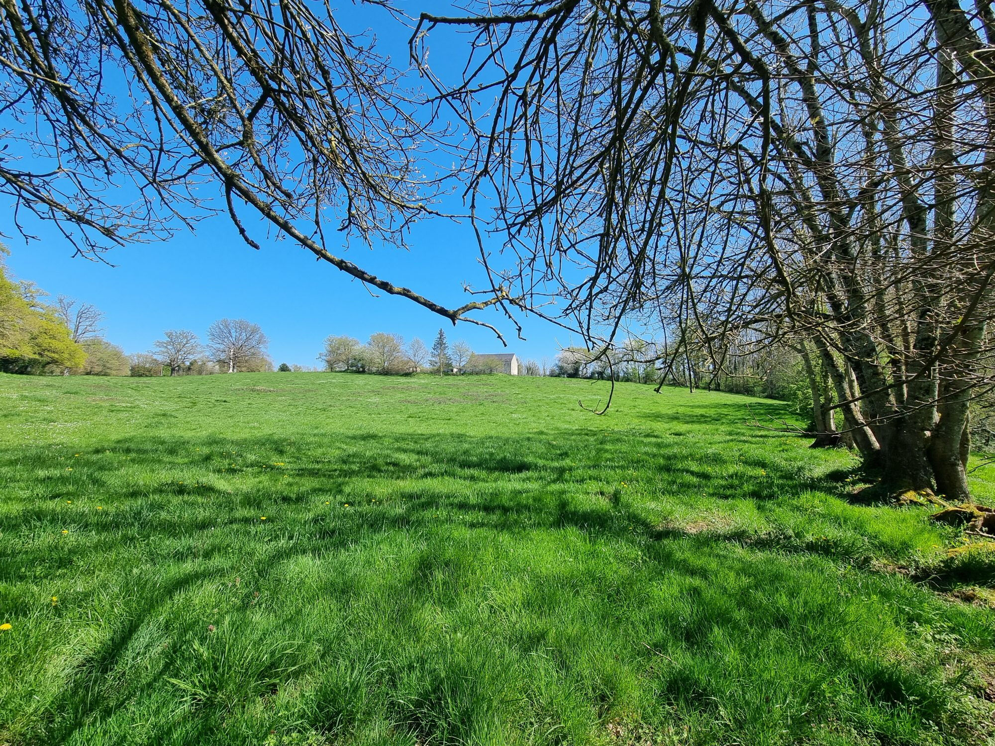 Photo 5 — HORIZON SUD BERRY IMMOBILIER - Châtre
