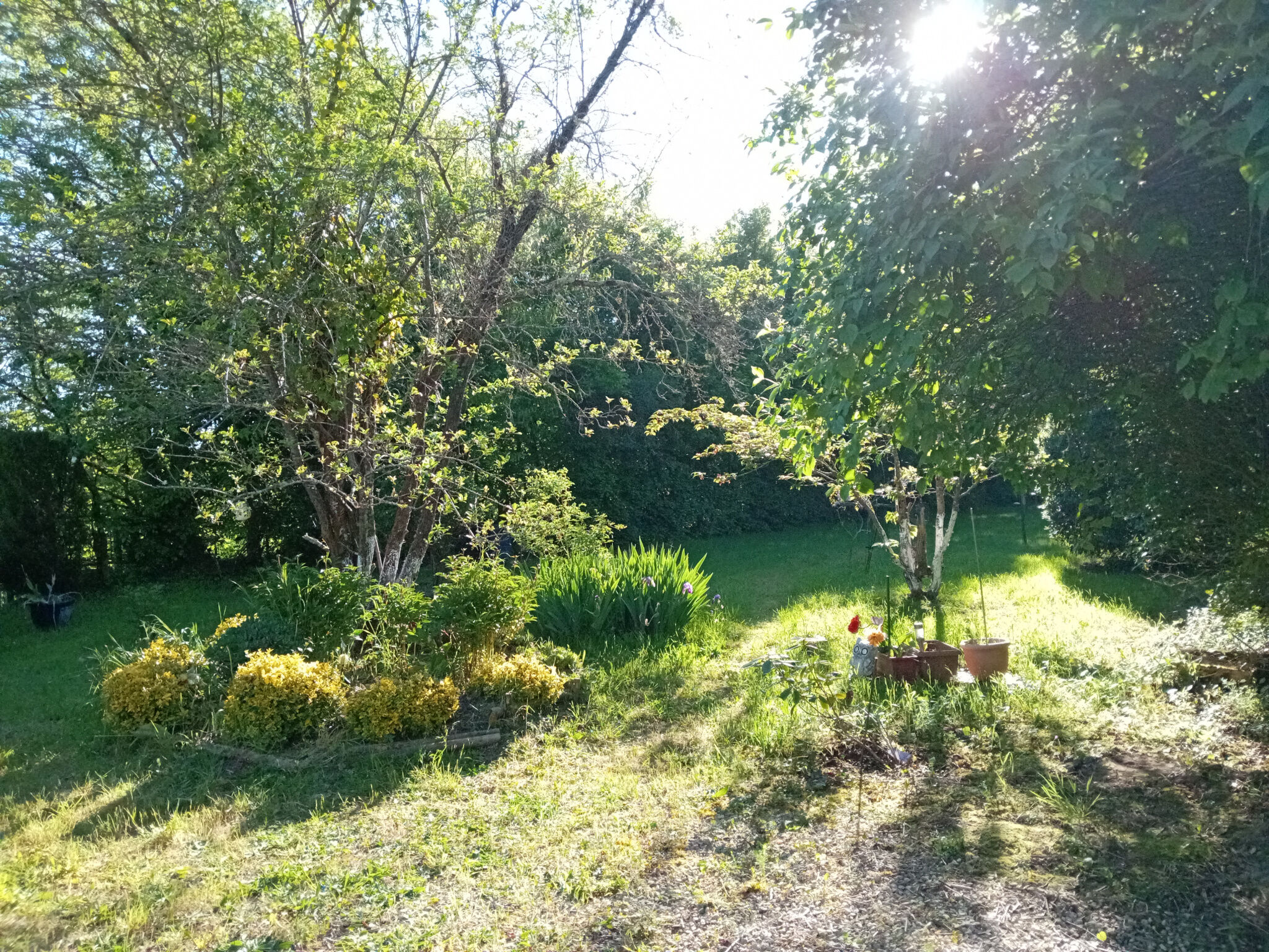 Photo 15 — HORIZON SUD BERRY IMMOBILIER - Châtre