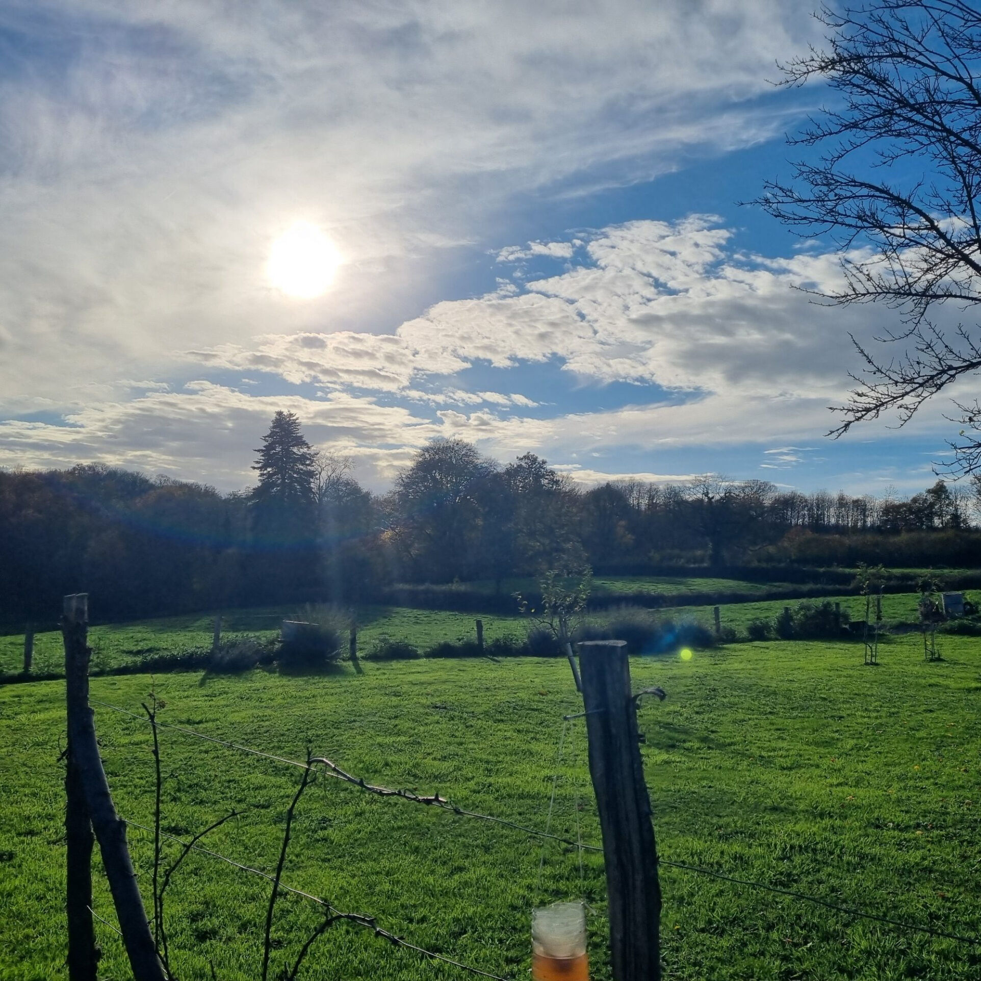 Photo 18 — HORIZON SUD BERRY IMMOBILIER - Châtre