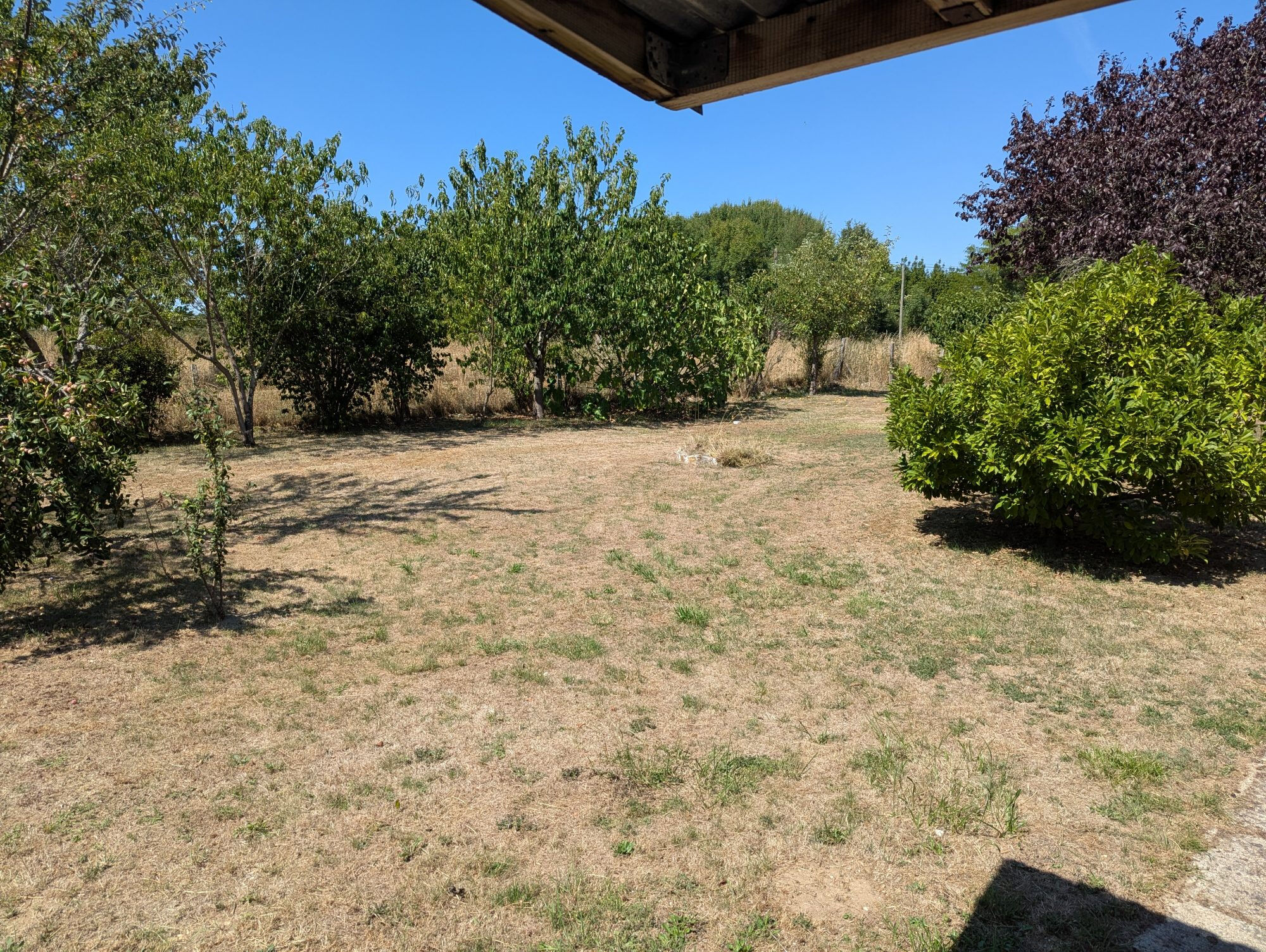 Photo 3 — HORIZON SUD BERRY IMMOBILIER - Châtre