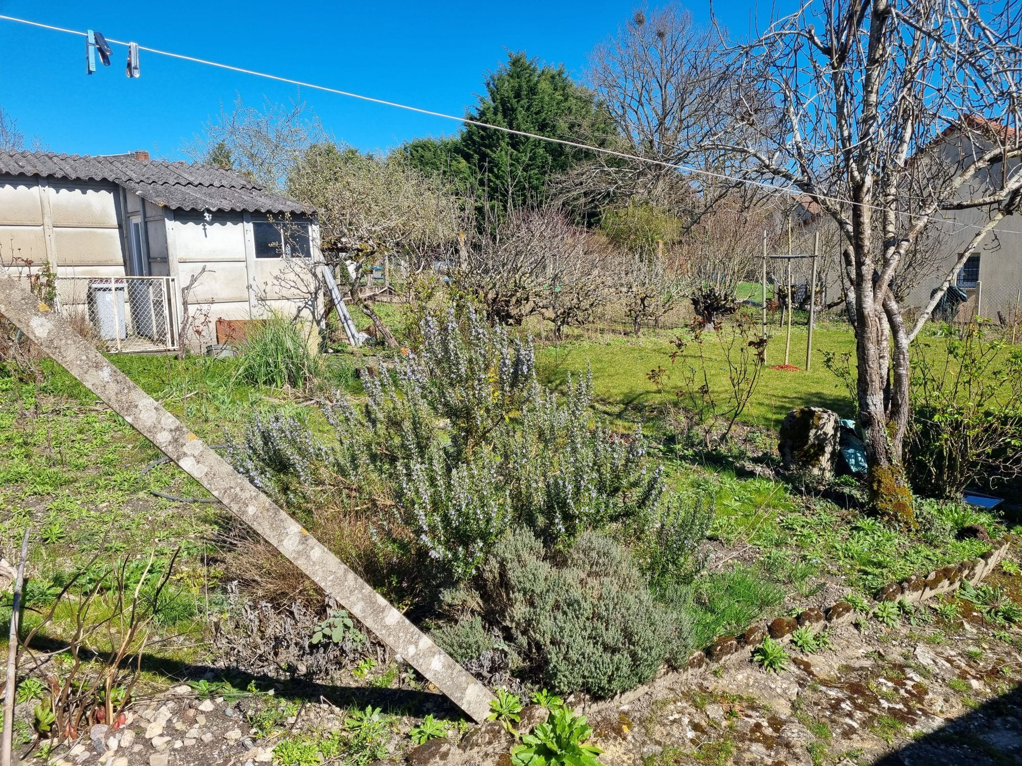 Photo 5 — HORIZON SUD BERRY IMMOBILIER - Châtre