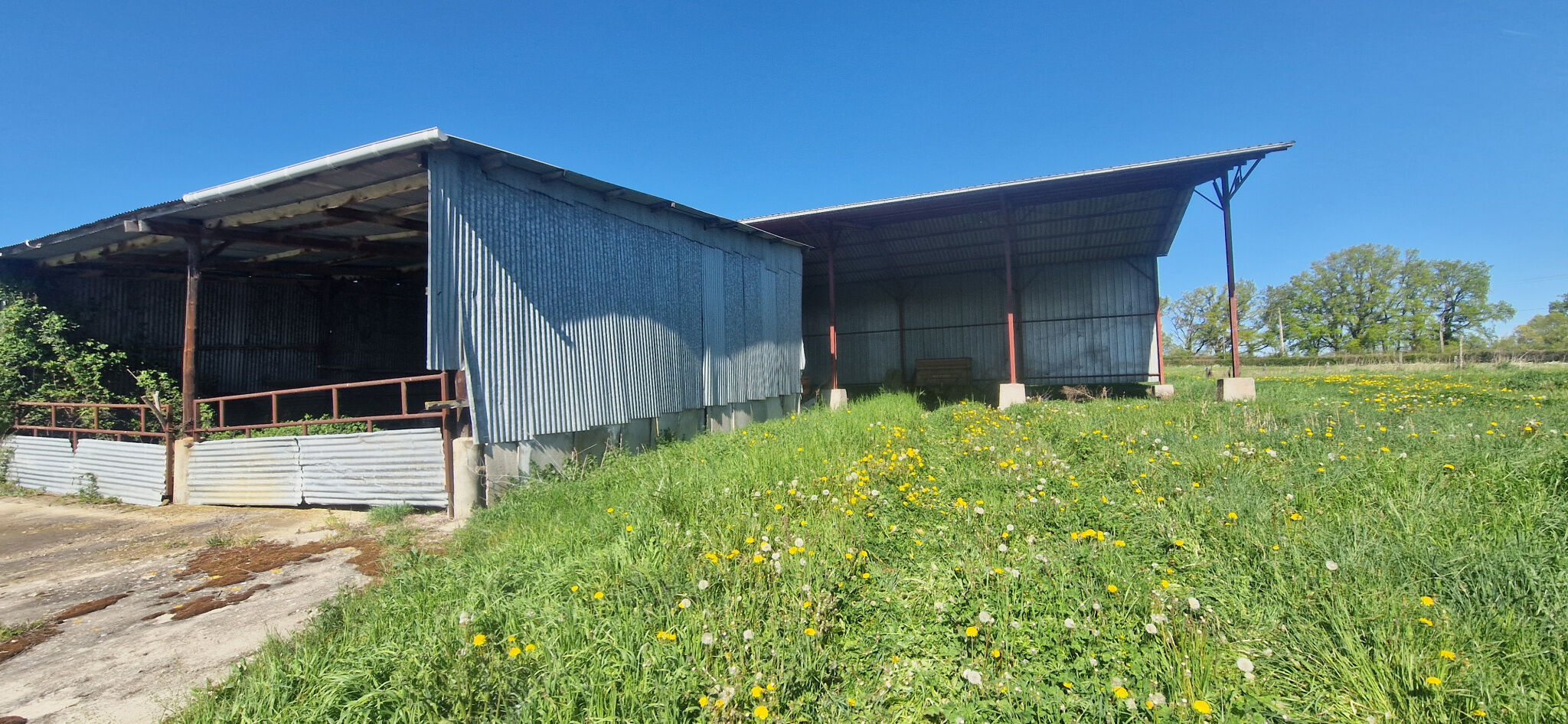 Photo 18 — HORIZON SUD BERRY IMMOBILIER - Châtre