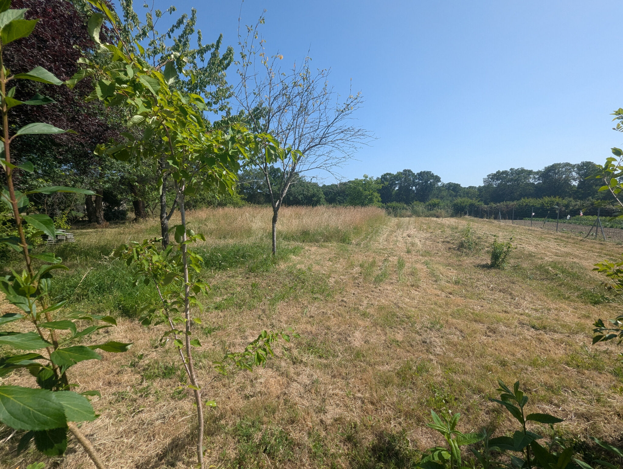 Photo 18 — HORIZON SUD BERRY IMMOBILIER - Châtre