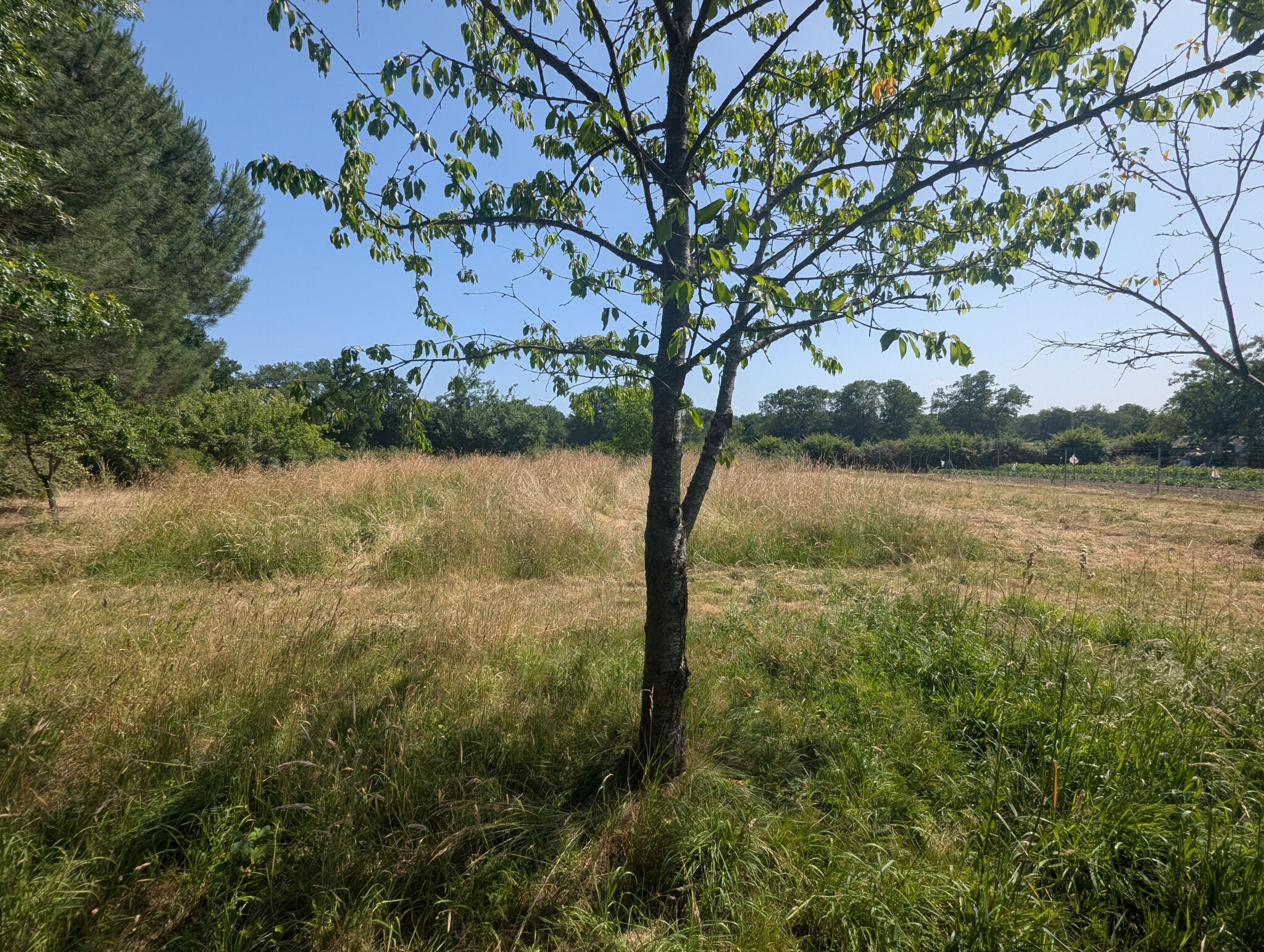 Photo 20 — HORIZON SUD BERRY IMMOBILIER - Châtre