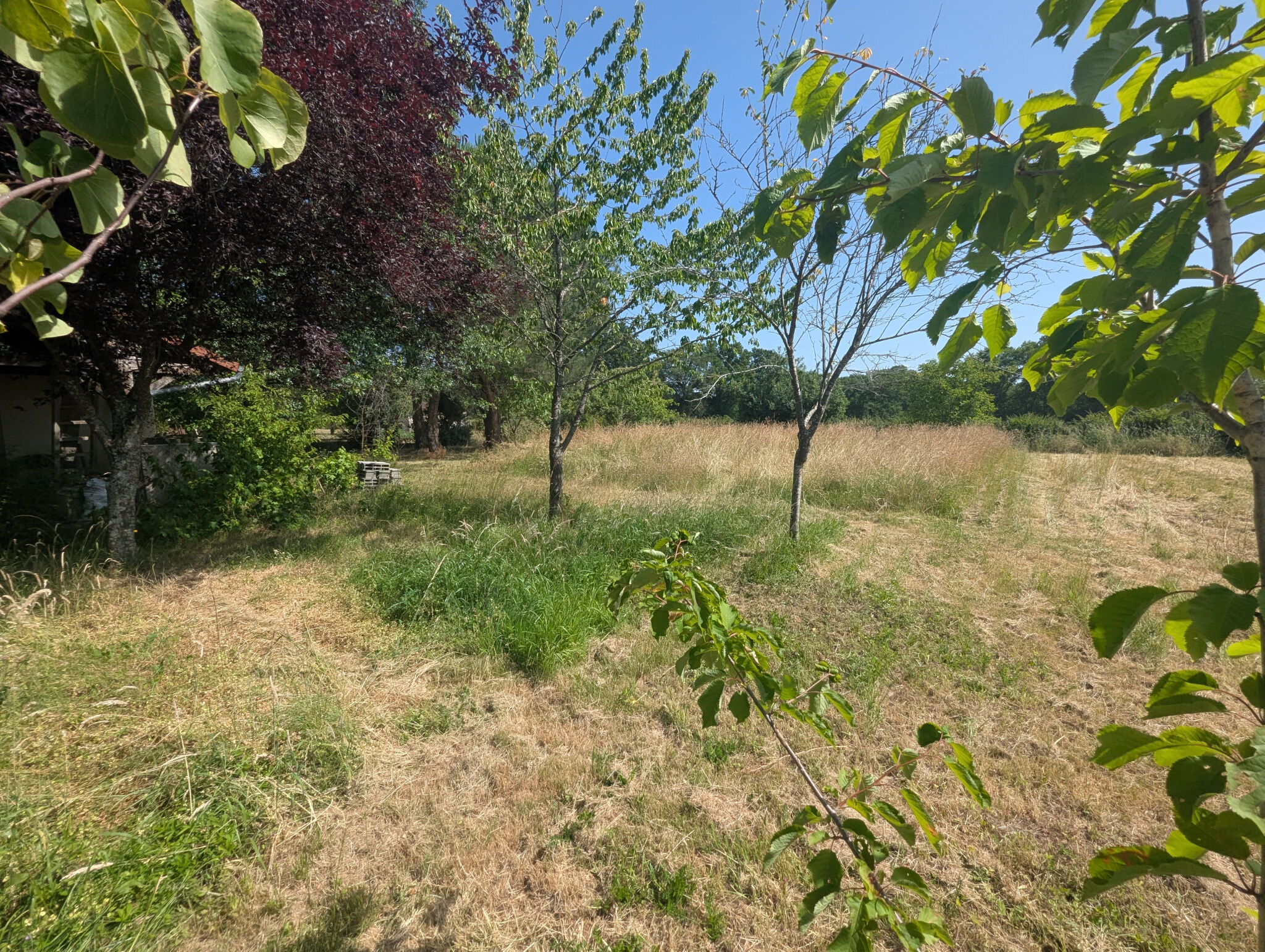 Photo 3 — HORIZON SUD BERRY IMMOBILIER - Châtre