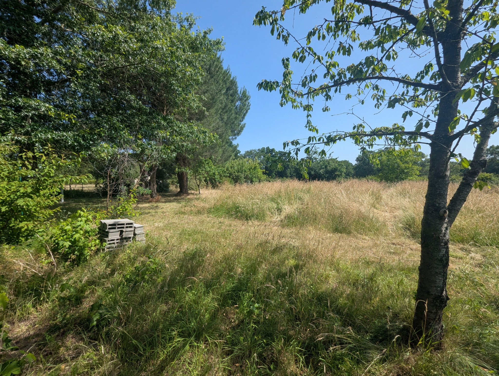 Photo 19 — HORIZON SUD BERRY IMMOBILIER - Châtre
