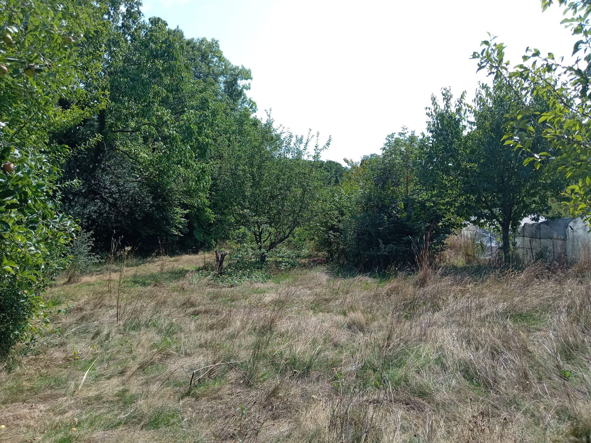 Photo 15 — HORIZON SUD BERRY IMMOBILIER - Châtre