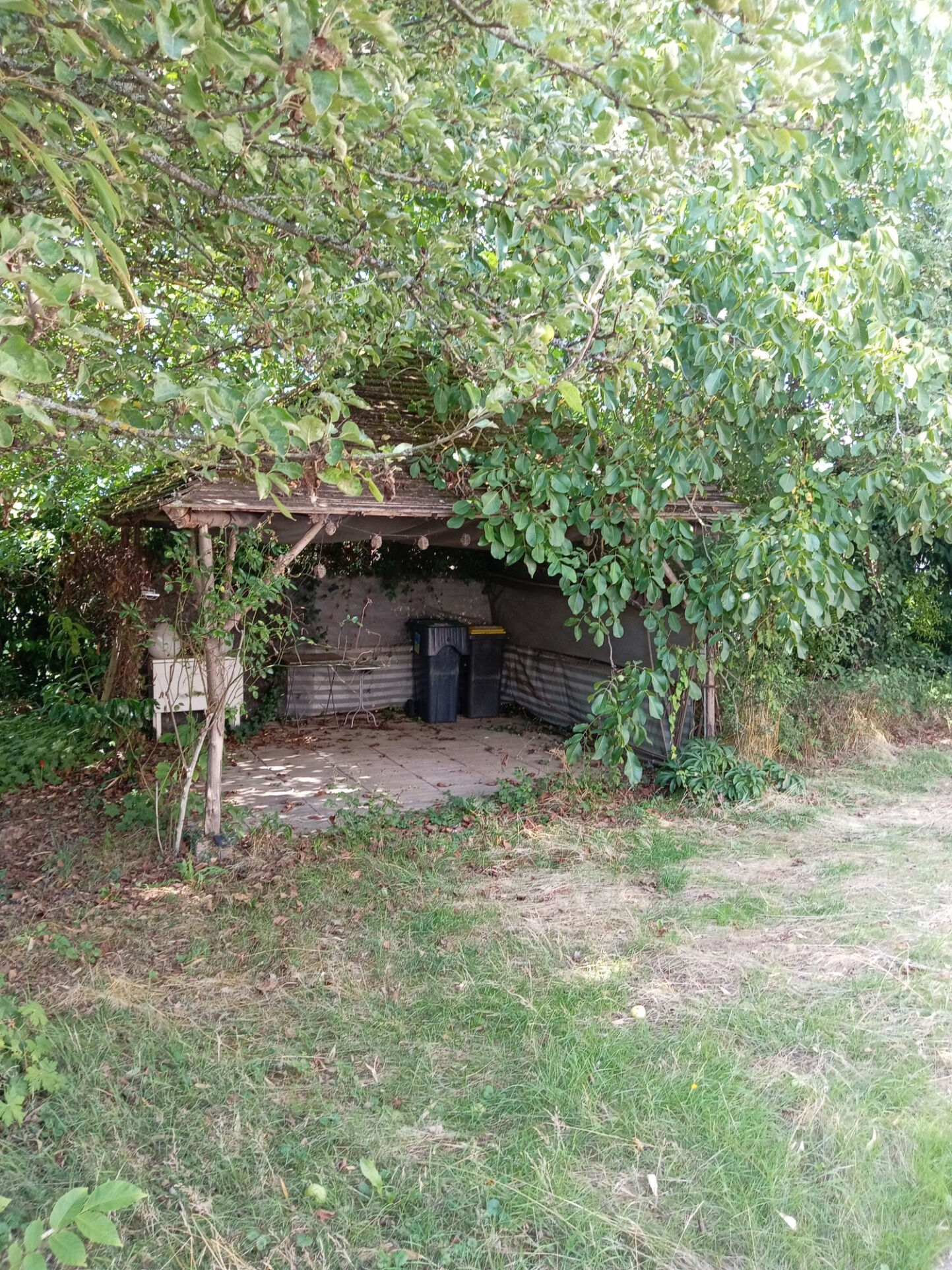 Photo 8 — HORIZON SUD BERRY IMMOBILIER - Châtre