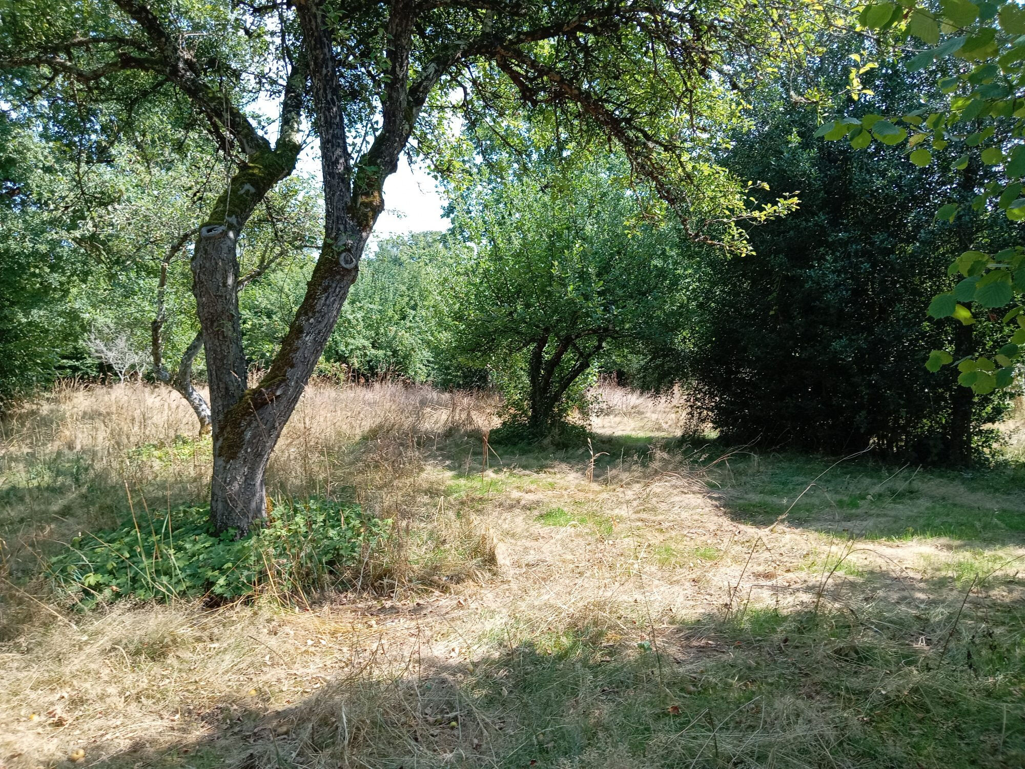 Photo 19 — HORIZON SUD BERRY IMMOBILIER - Châtre