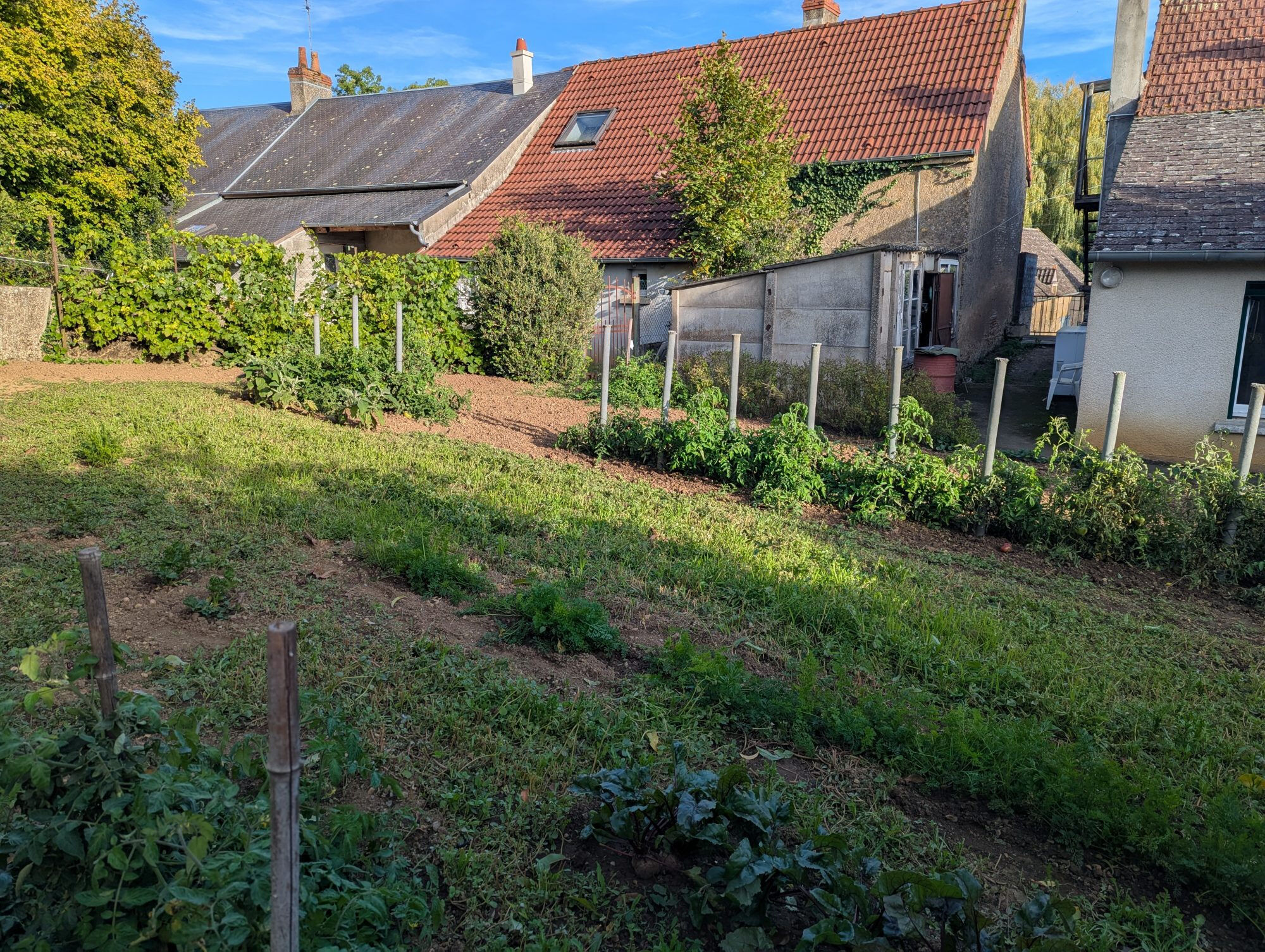 Photo 16 — HORIZON SUD BERRY IMMOBILIER - Châtre