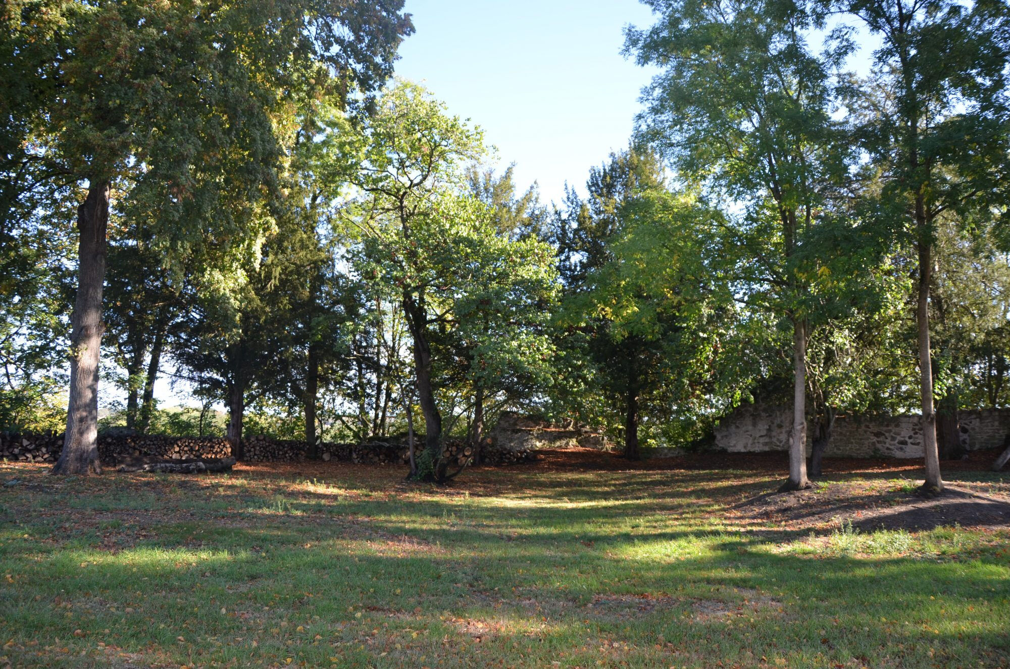 Photo 6 — HORIZON SUD BERRY IMMOBILIER - Châtre