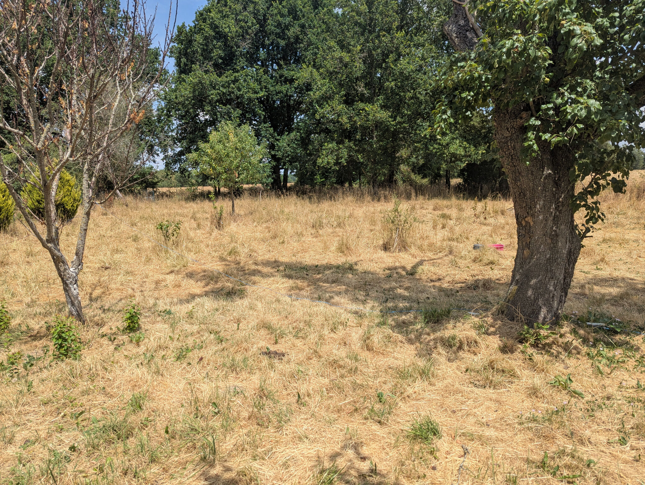 Photo 14 — HORIZON SUD BERRY IMMOBILIER - Châtre