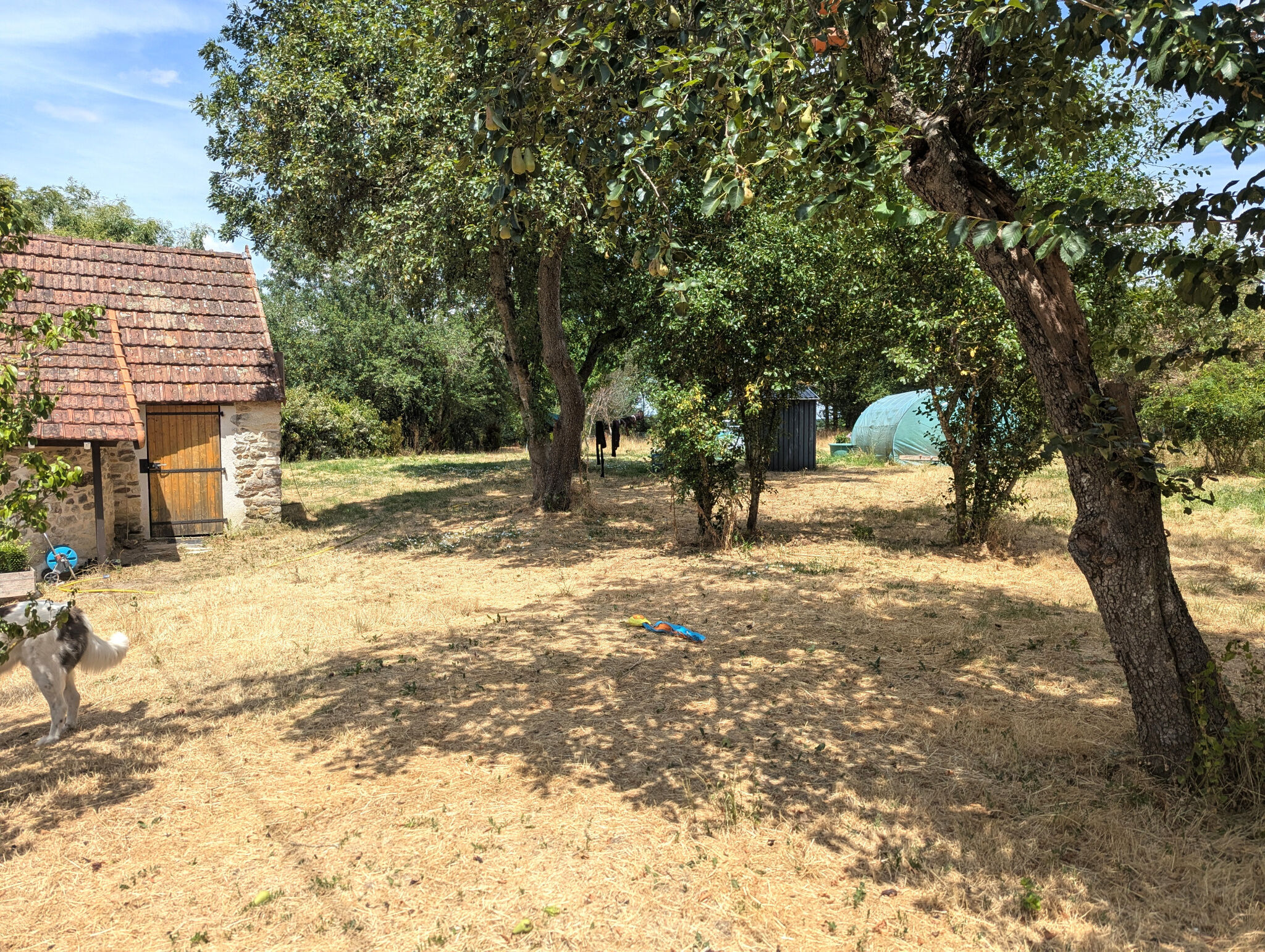 Photo 20 — HORIZON SUD BERRY IMMOBILIER - Châtre