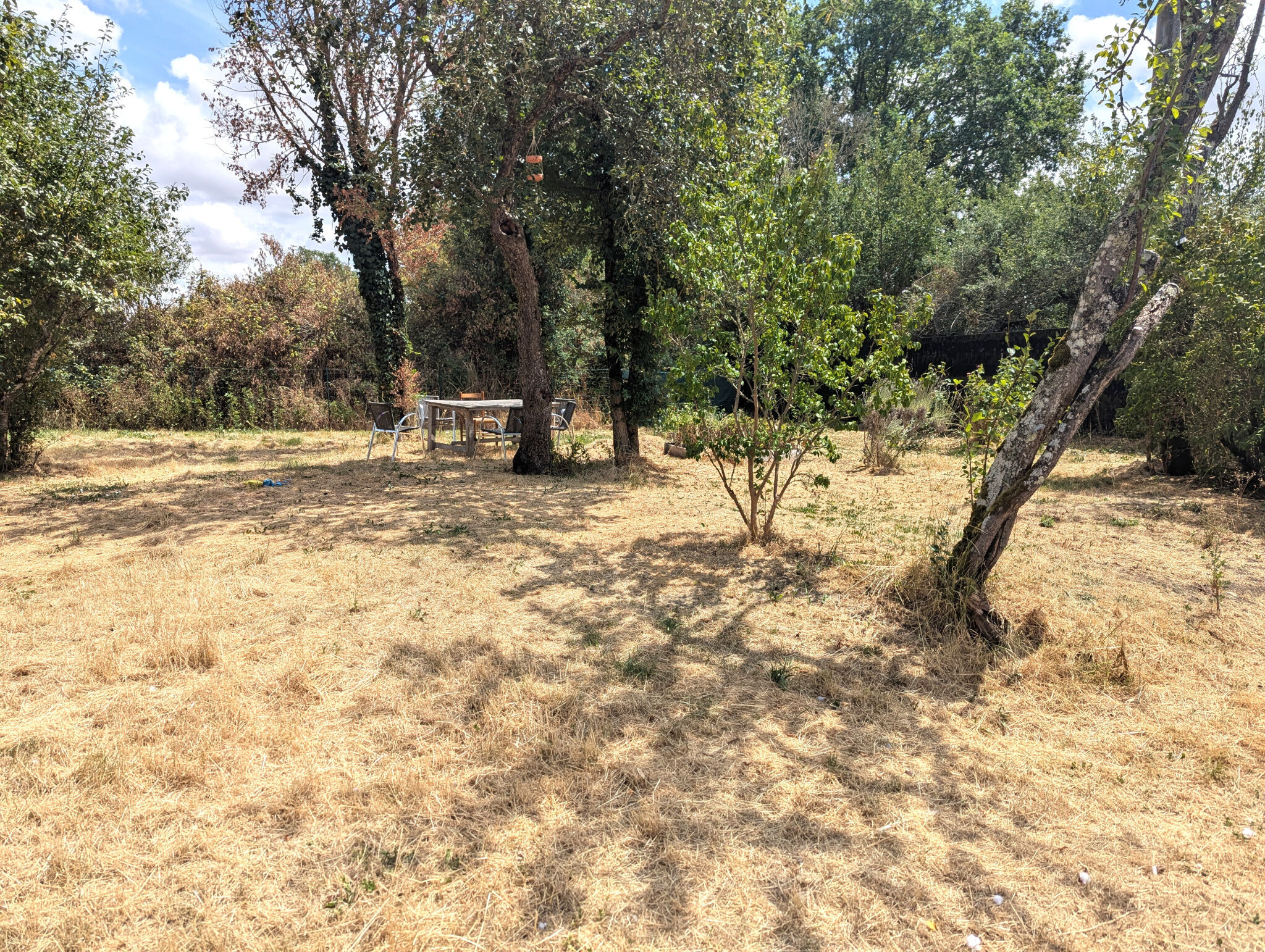 Photo 2 — HORIZON SUD BERRY IMMOBILIER - Châtre