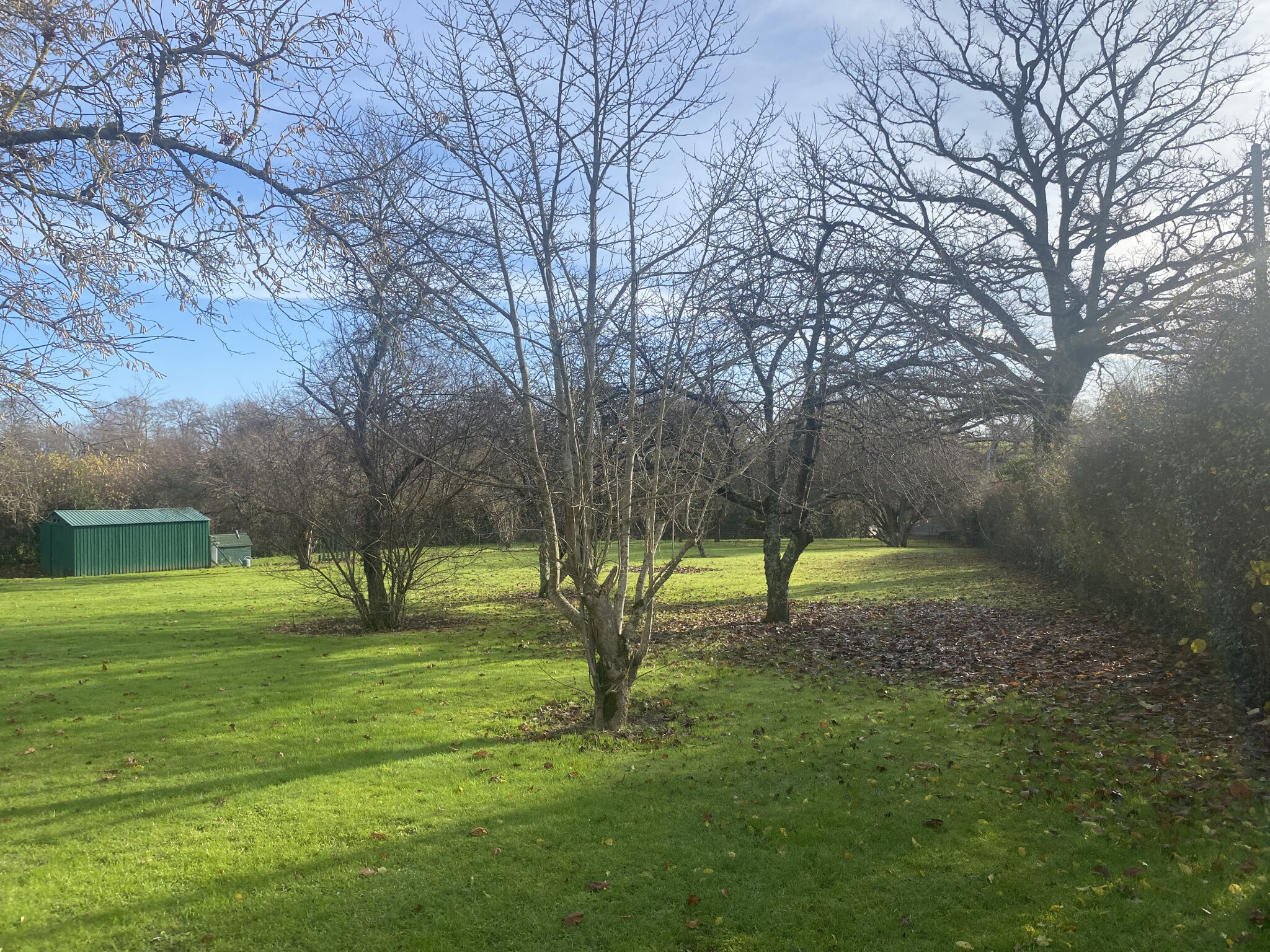 Photo 23 — HORIZON SUD BERRY IMMOBILIER - Châtre