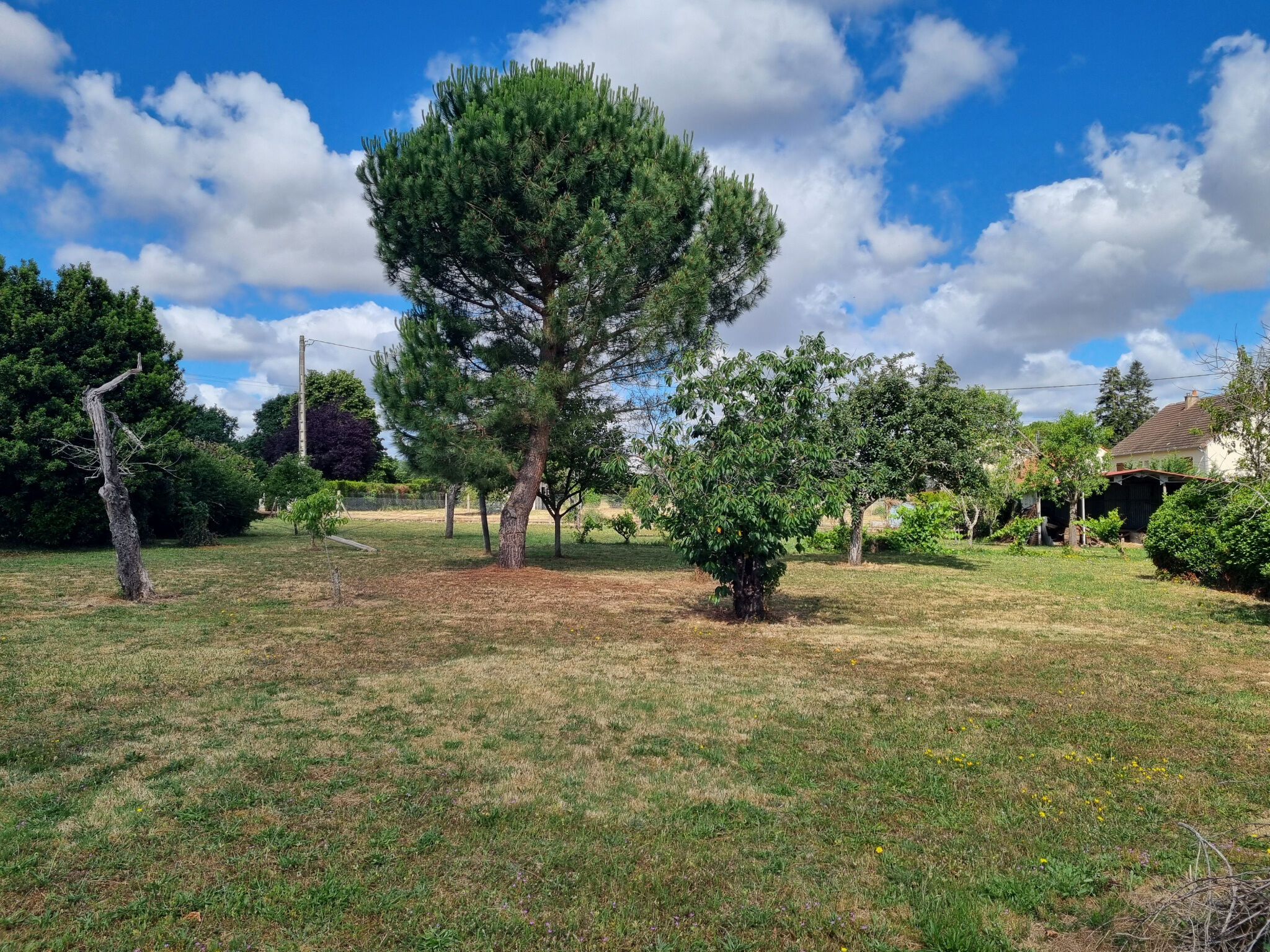 Photo 3 — HORIZON SUD BERRY IMMOBILIER - Châtre
