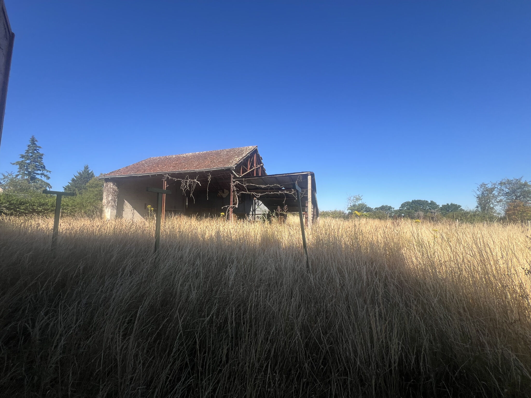 Photo 4 — HORIZON SUD BERRY IMMOBILIER - Châtre