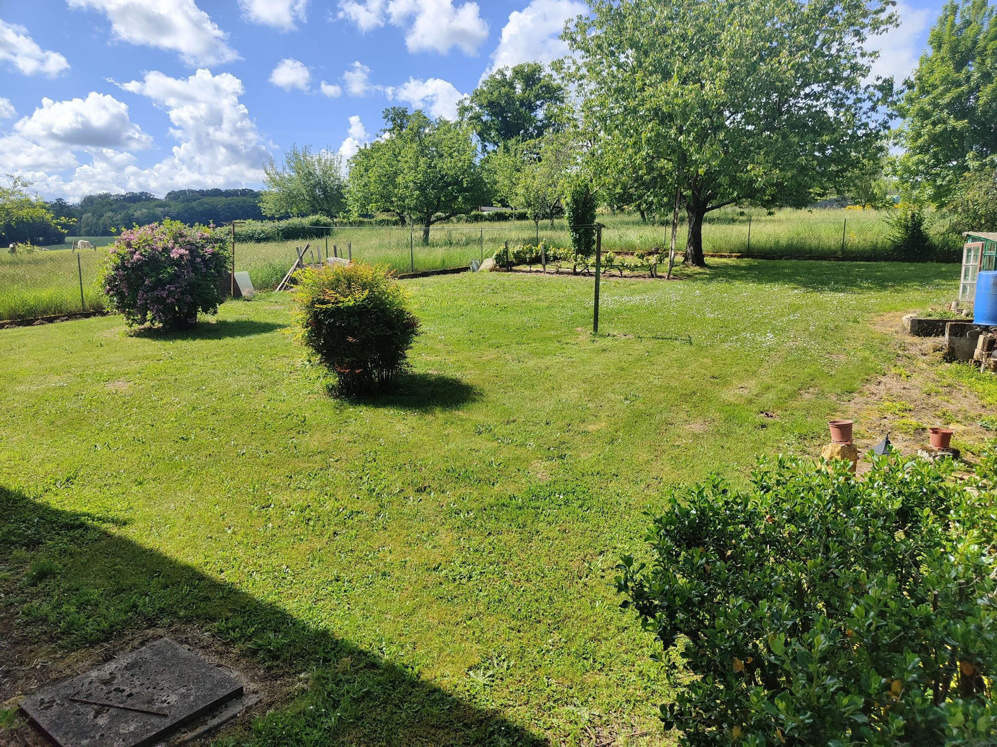 Photo 6 — HORIZON SUD BERRY IMMOBILIER - Châtre