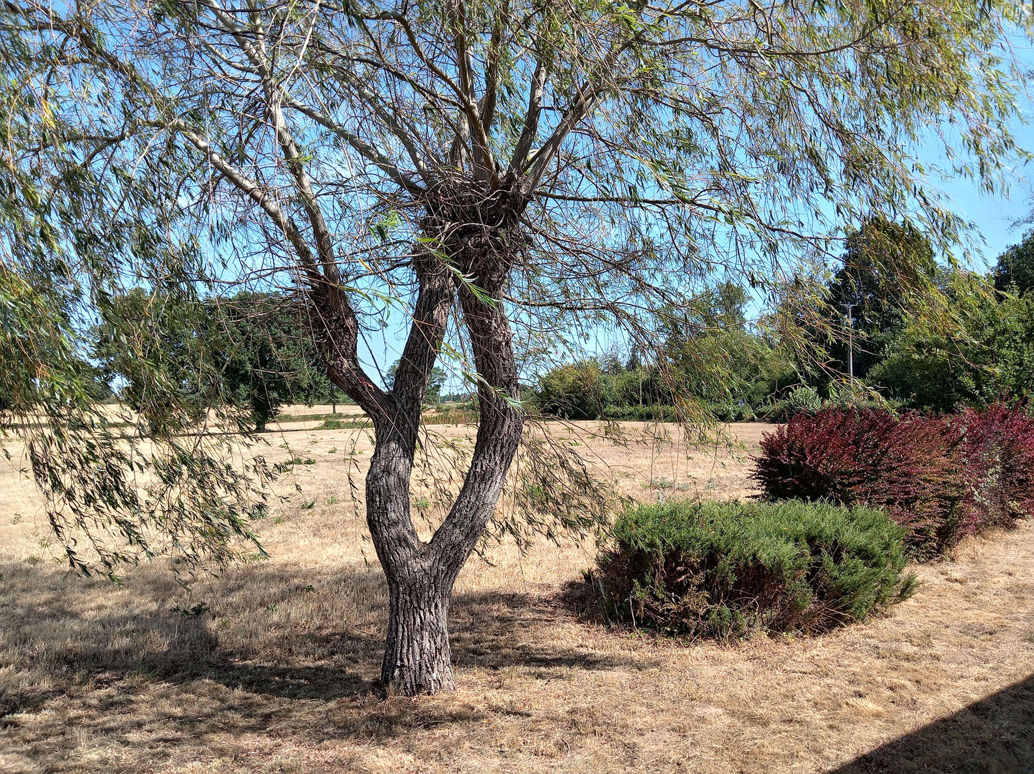 Photo 13 — HORIZON SUD BERRY IMMOBILIER - Châtre