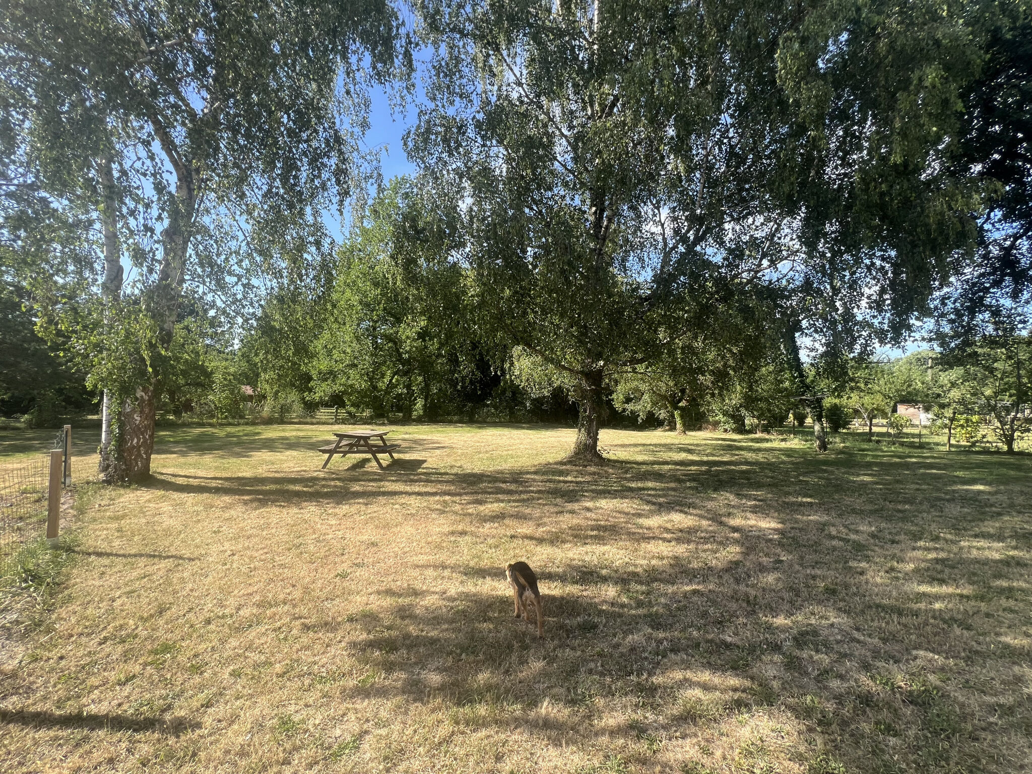 Photo 20 — HORIZON SUD BERRY IMMOBILIER - Châtre