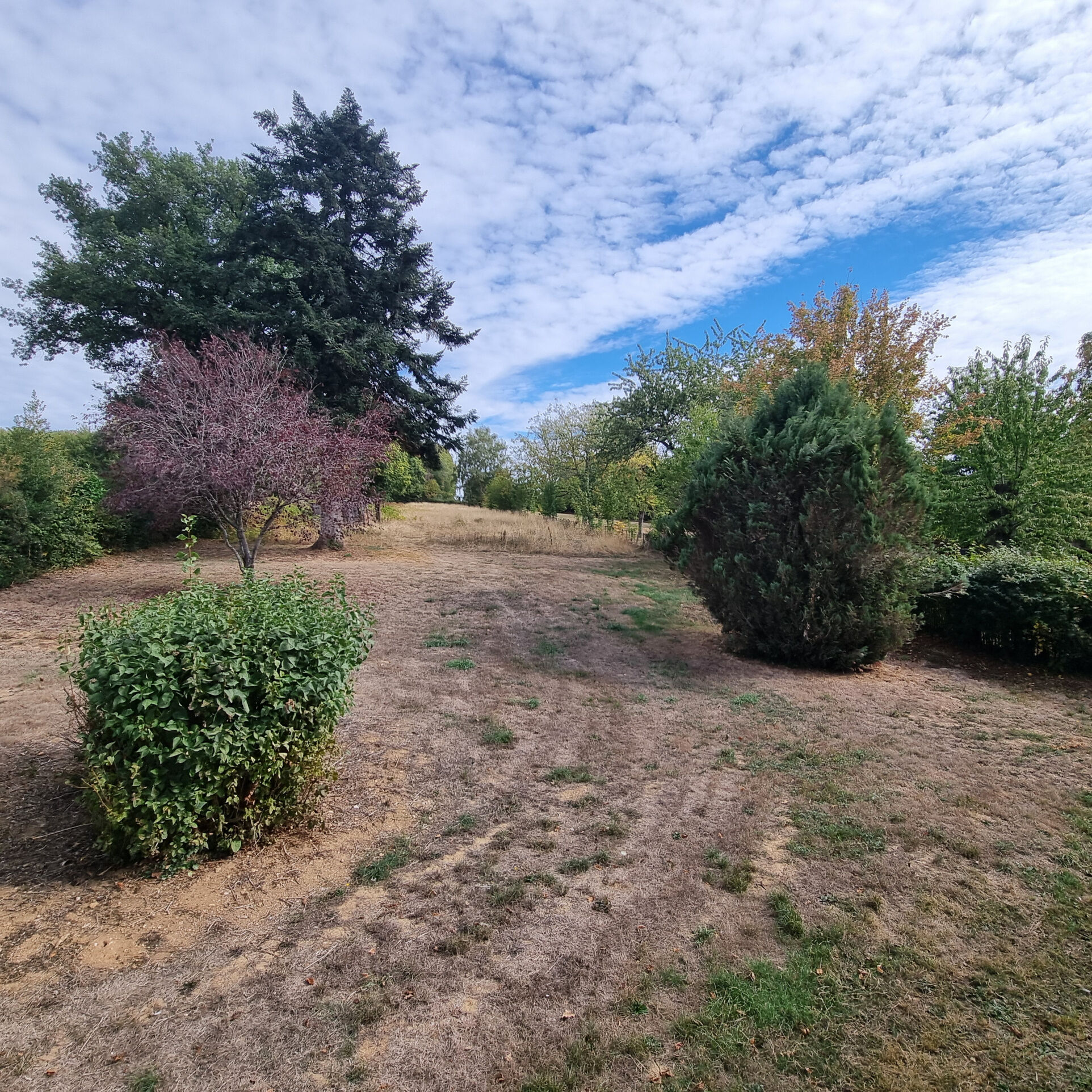 Photo 20 — HORIZON SUD BERRY IMMOBILIER - Châtre