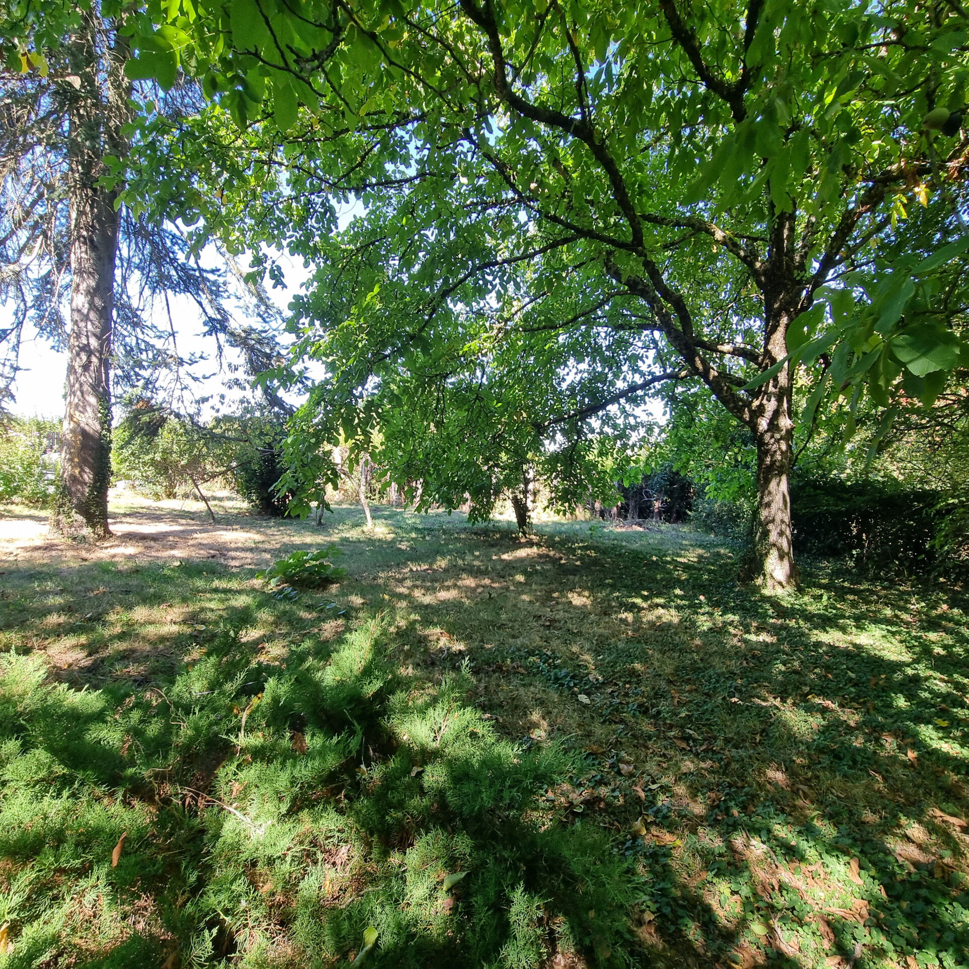 Photo 3 — HORIZON SUD BERRY IMMOBILIER - Châtre