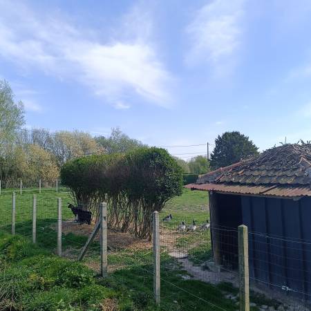 Photo 14 — SAINT VALERY IMMOBILIER