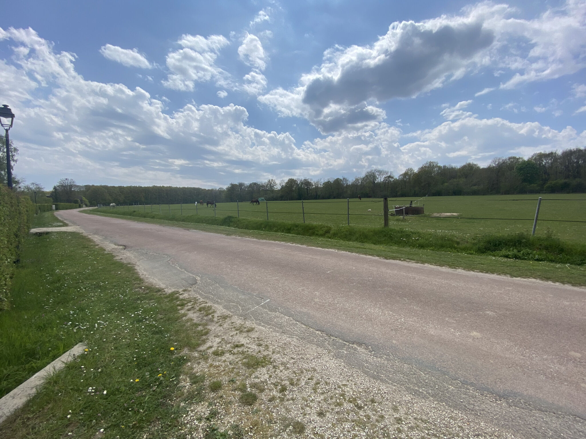 Photo 3 — VENDÔME EXCLUSIVE PROPERTIES