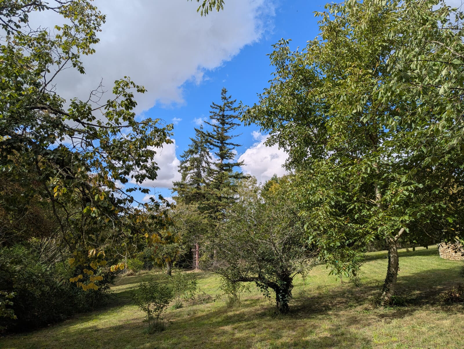 Photo 18 — VENDÔME EXCLUSIVE PROPERTIES
