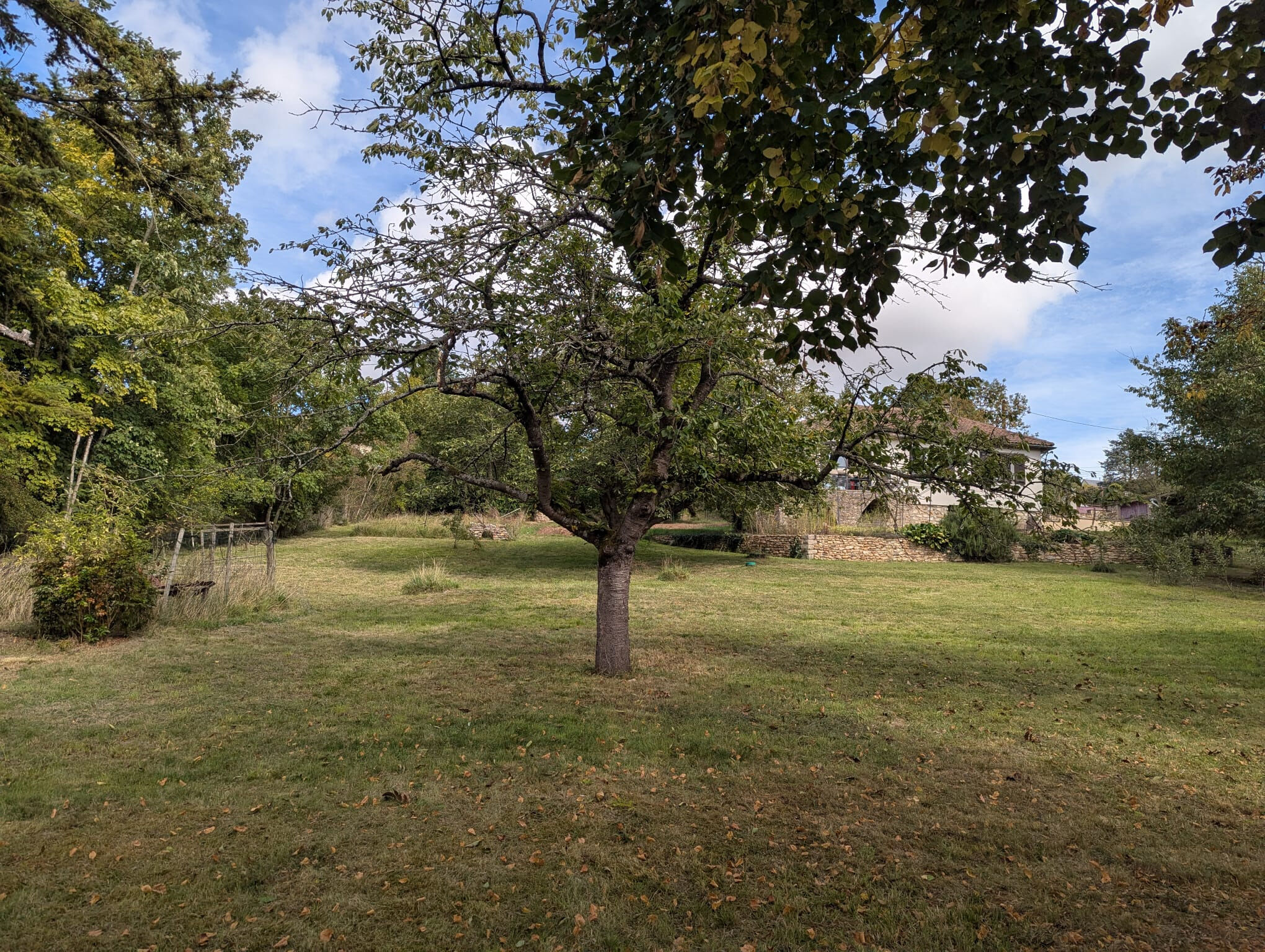 Photo 17 — VENDÔME EXCLUSIVE PROPERTIES