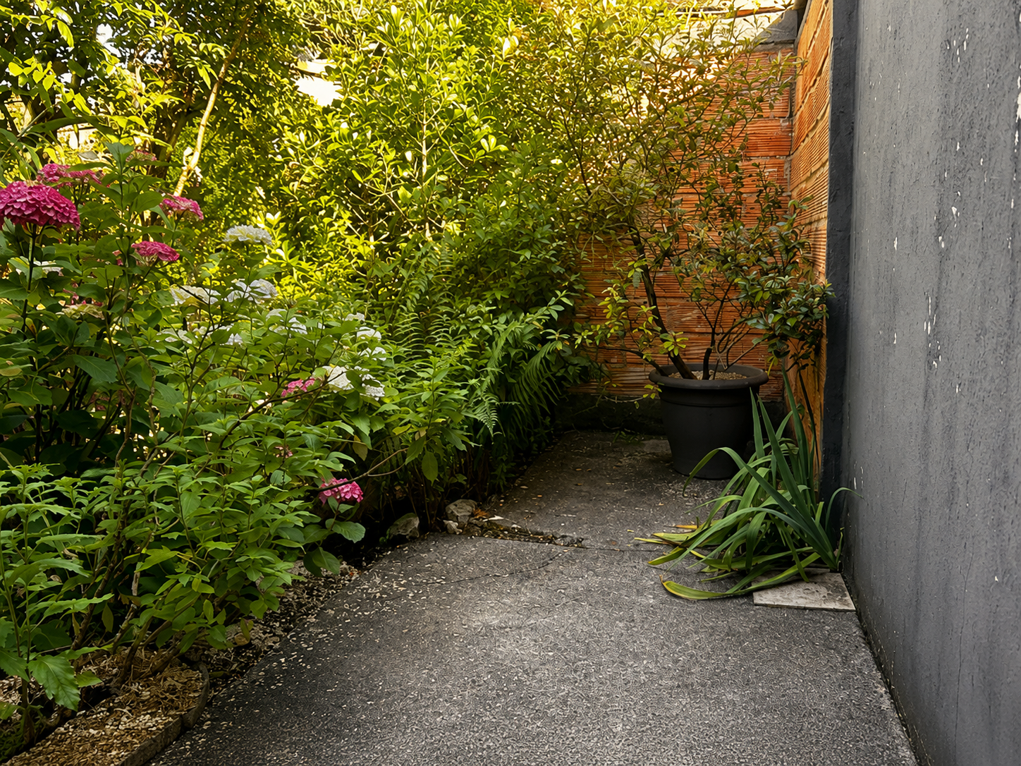 Photo 8 — VENDÔME EXCLUSIVE PROPERTIES