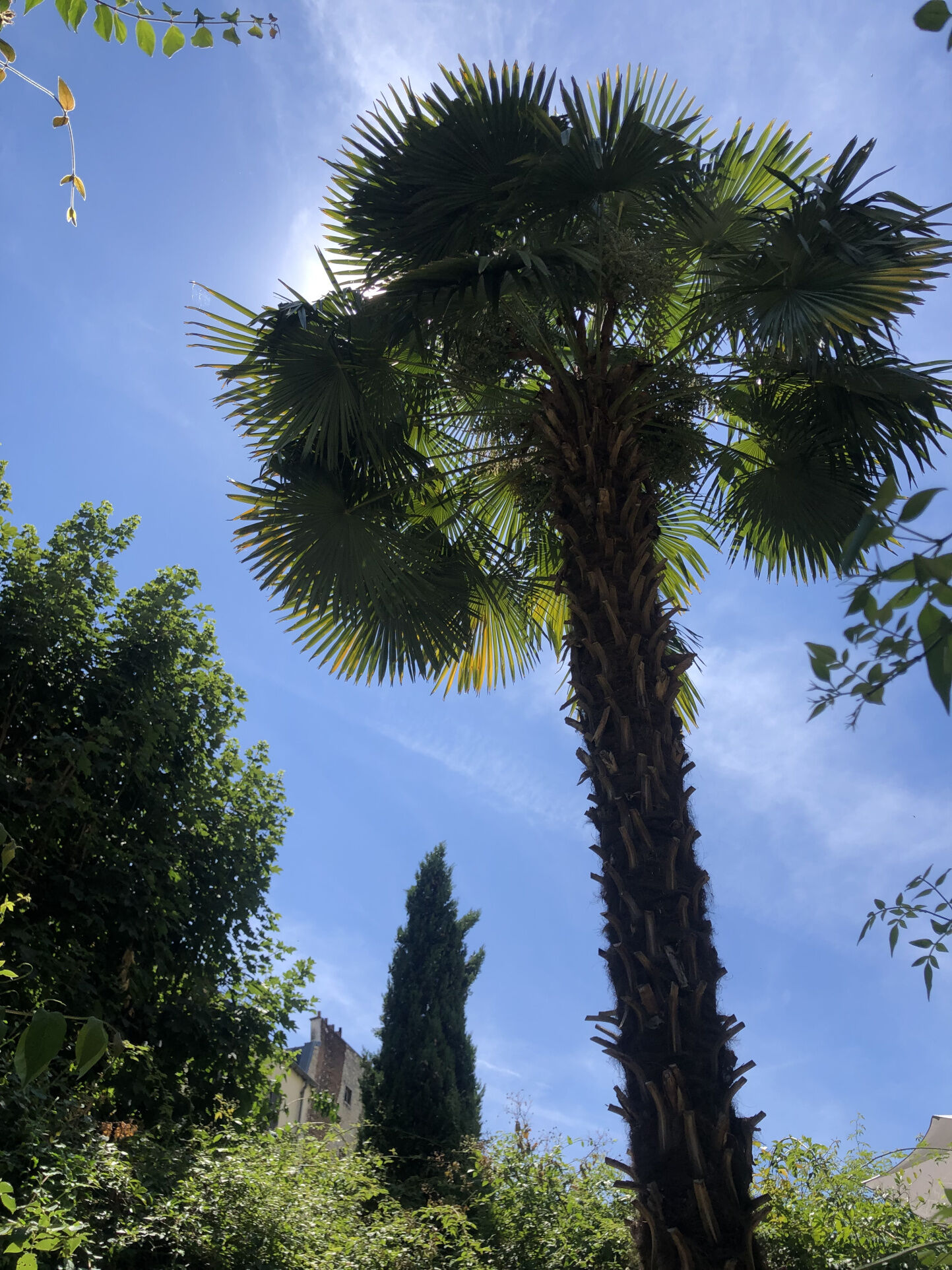 Photo 18 — VENDÔME EXCLUSIVE PROPERTIES