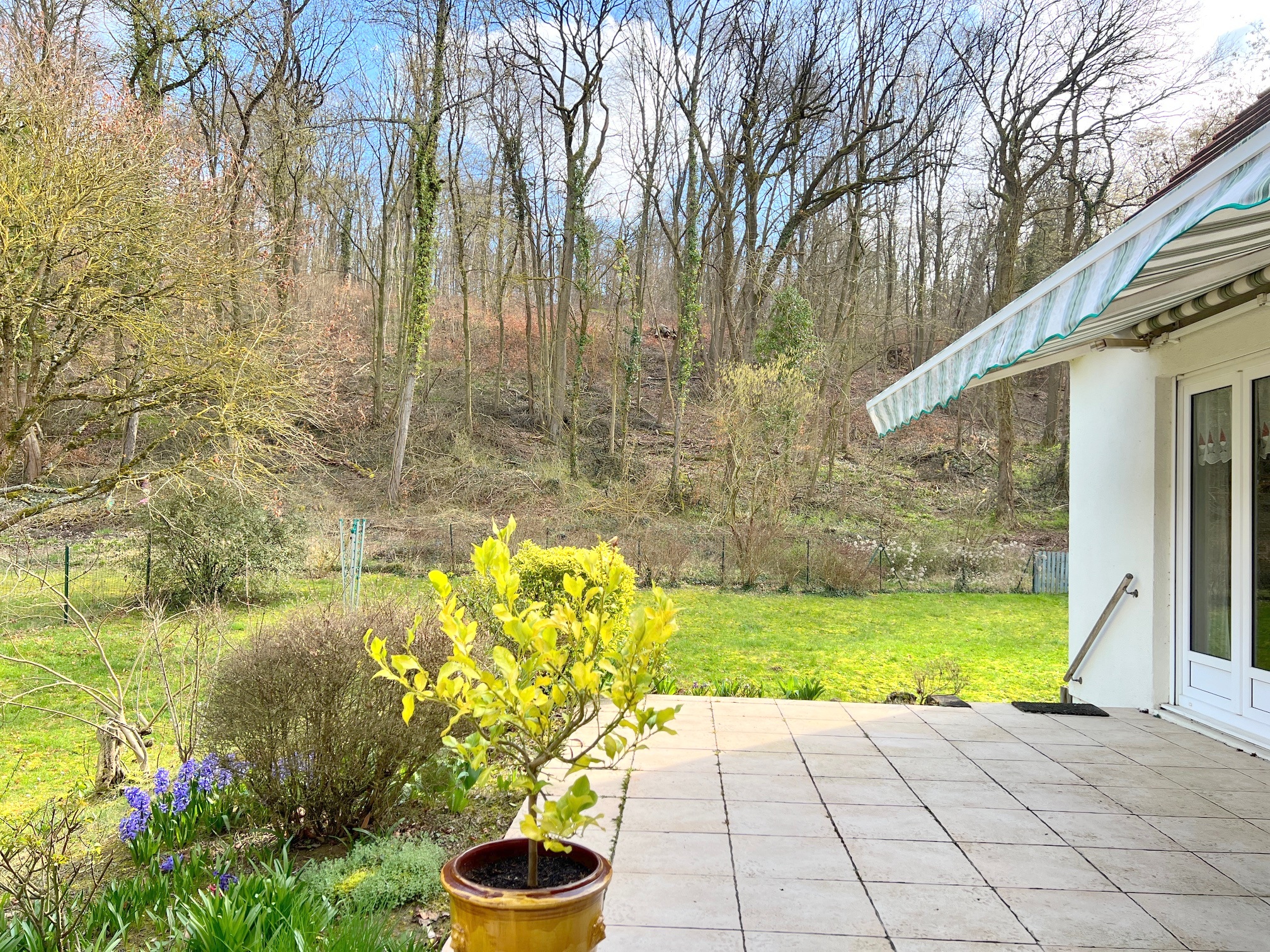 Photo 2 — Sacy Le Grand Immobilier