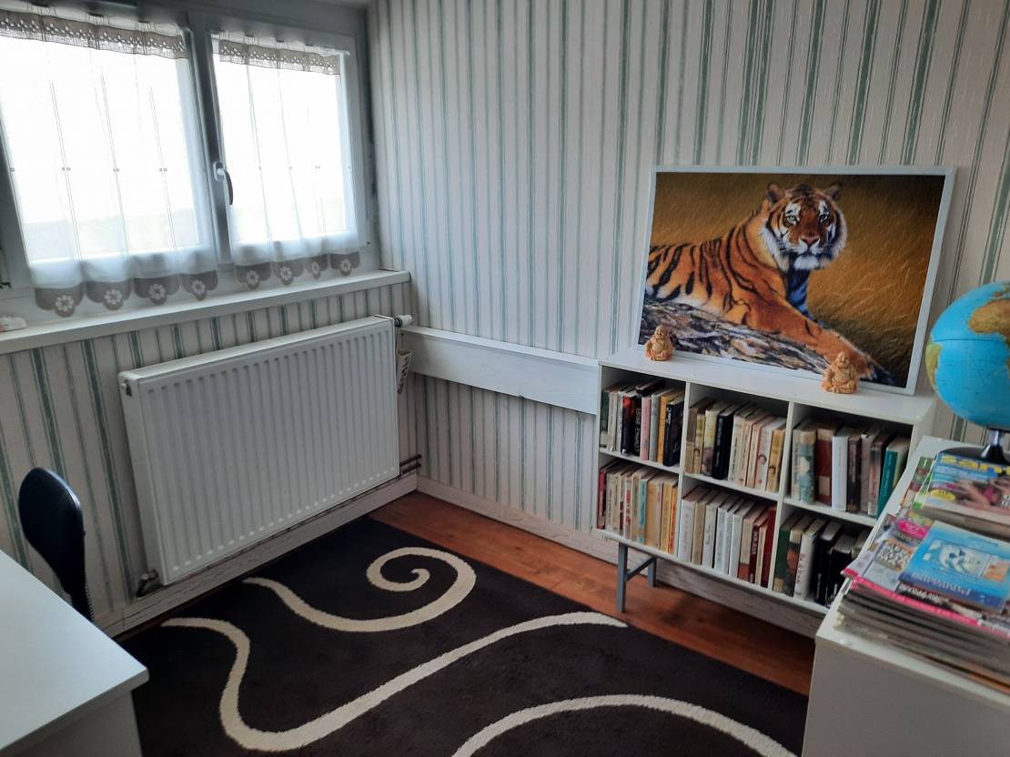 Photo 7 — Cabinet Somont