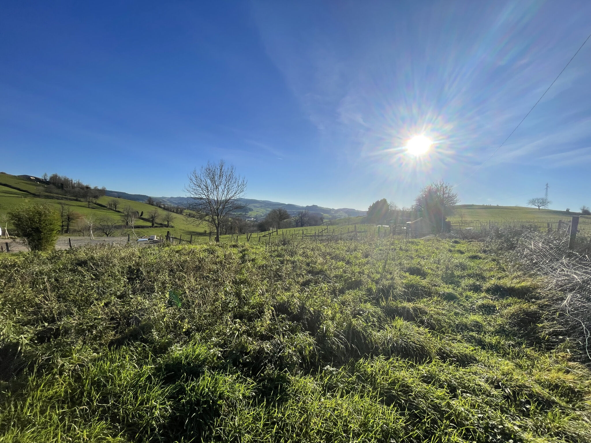 Photo 3 — DAMIEN GROSSELIN IMMOBILIER
