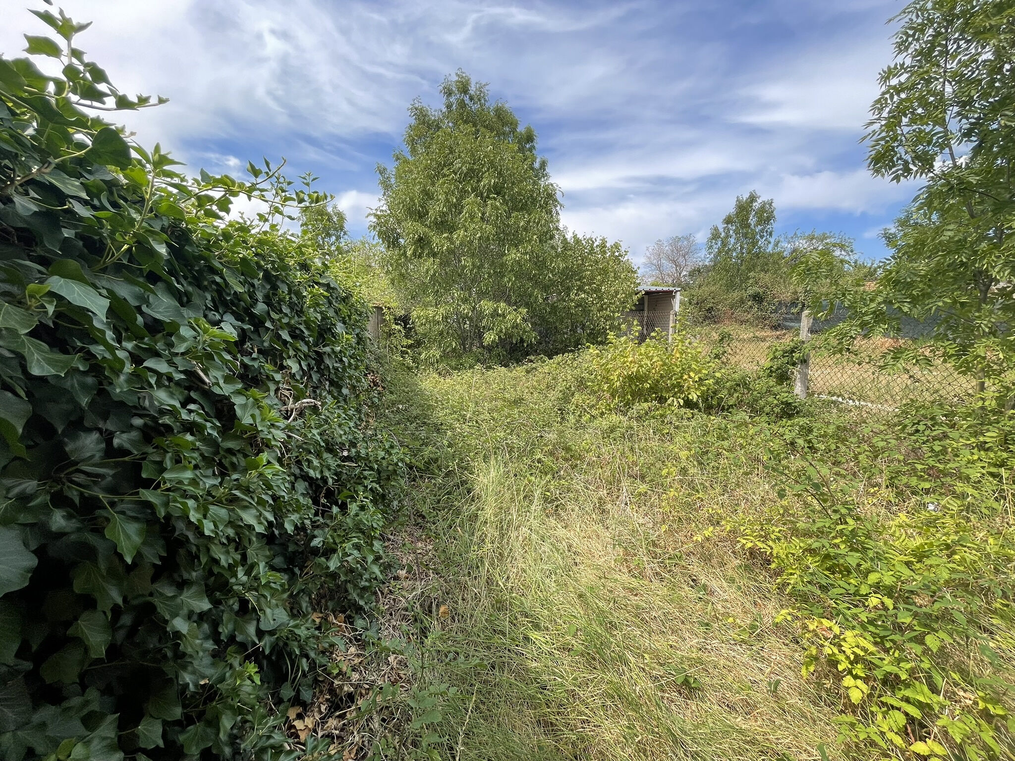 Photo 4 — DAMIEN GROSSELIN IMMOBILIER