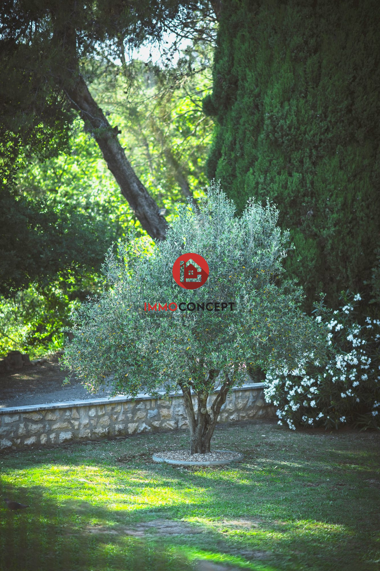 Photo 3 — IMMOCONCEPT