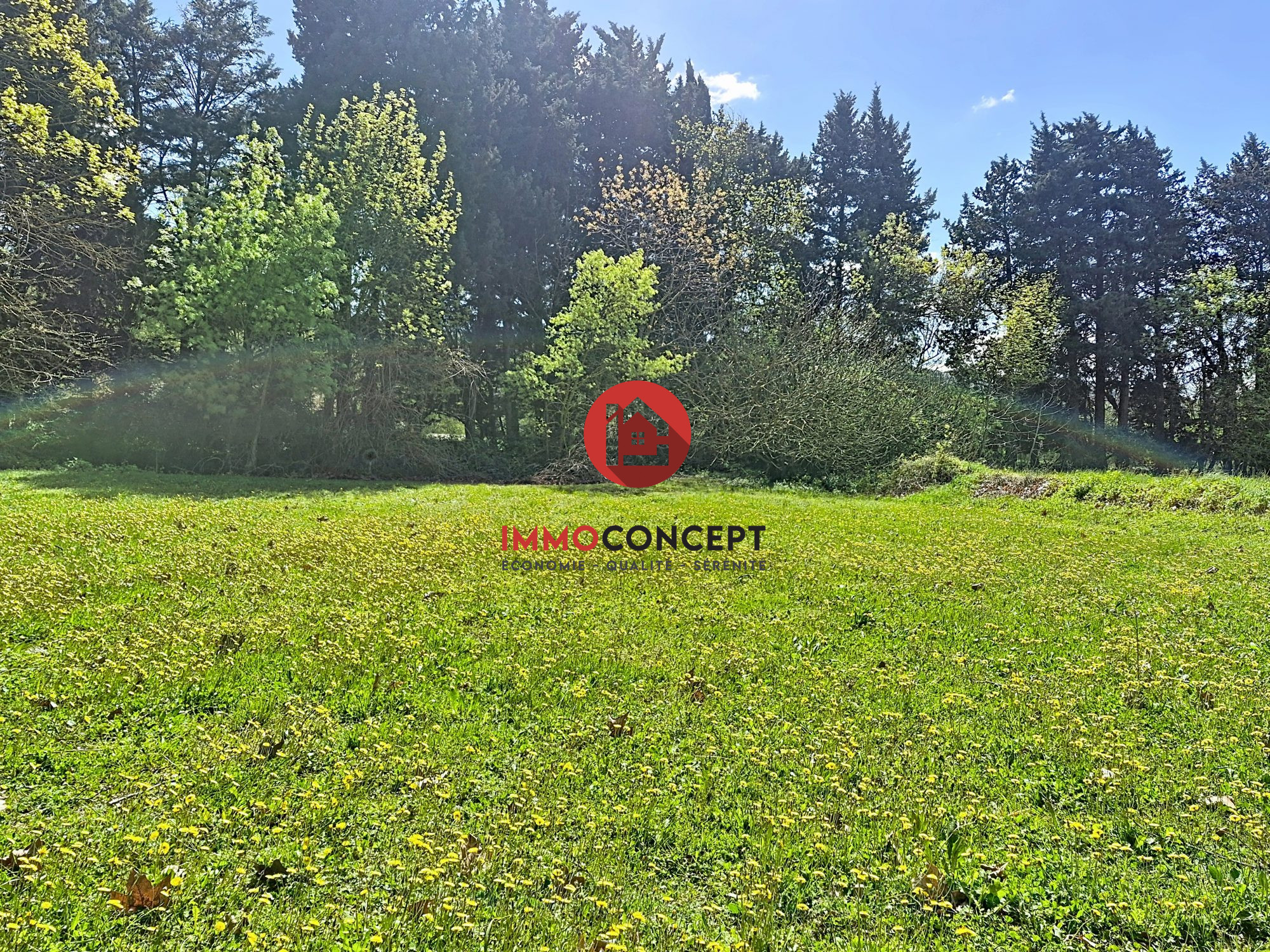 Photo 13 — IMMOCONCEPT