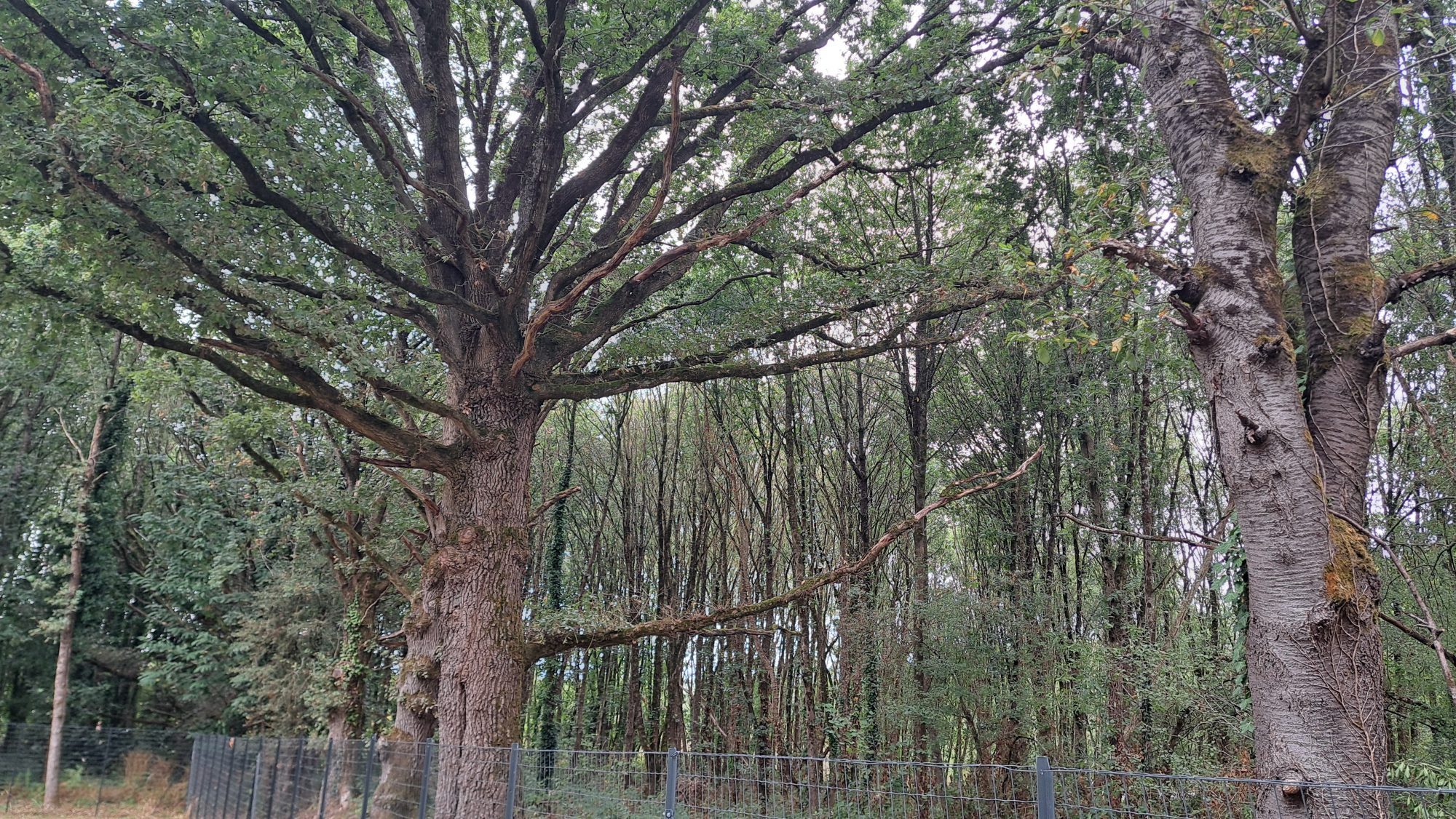 Photo 14 — MAN IMMO PRO