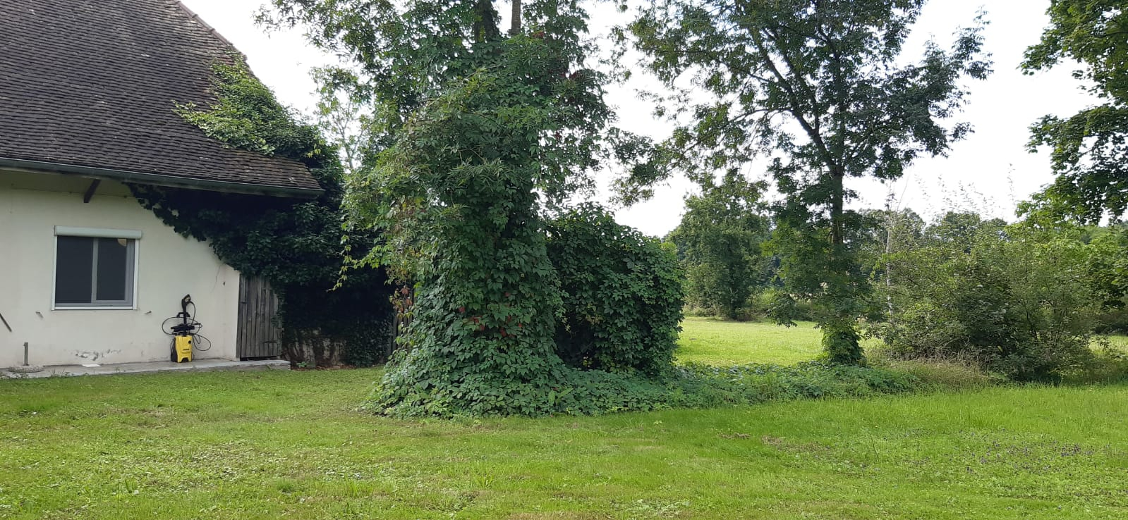 Photo 6 — JACQUOT Immobilier